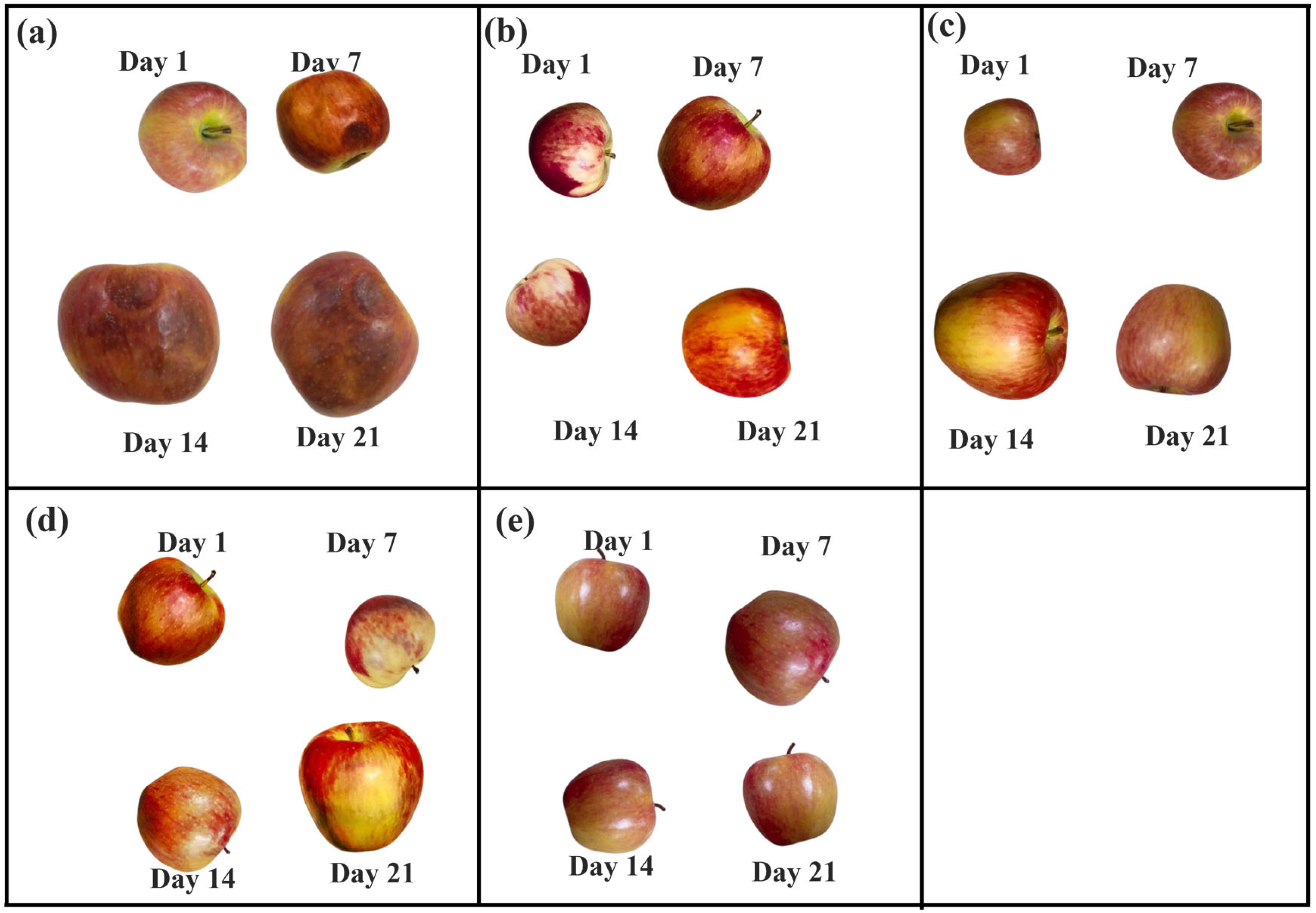 Resources 14 00015 g005