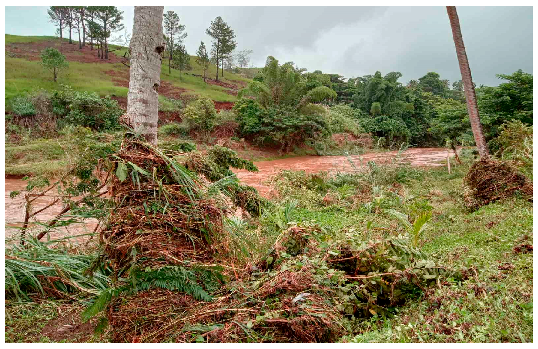 Resources 14 00020 g011