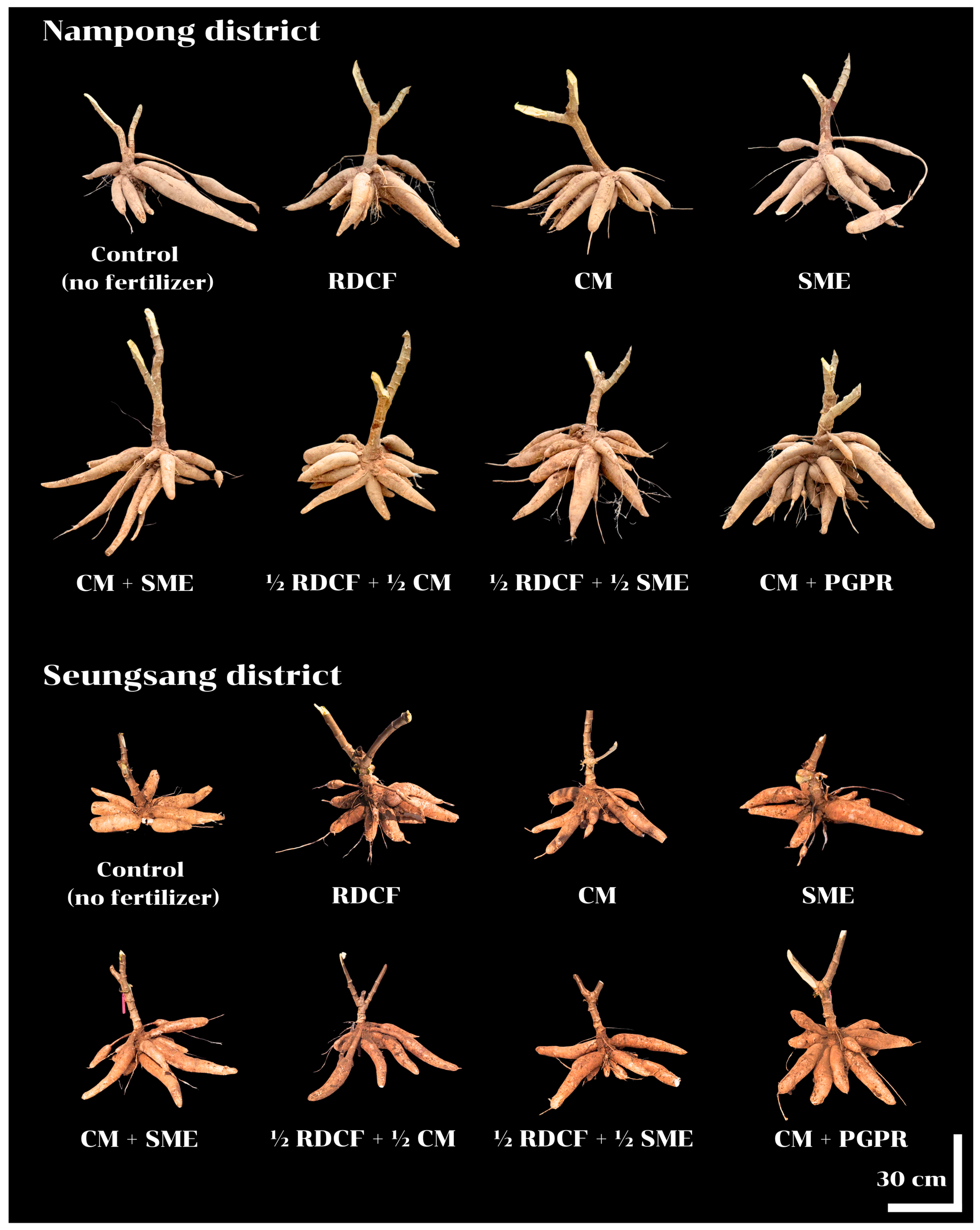 Resources 14 00039 g001 Resources 14 00039 g001