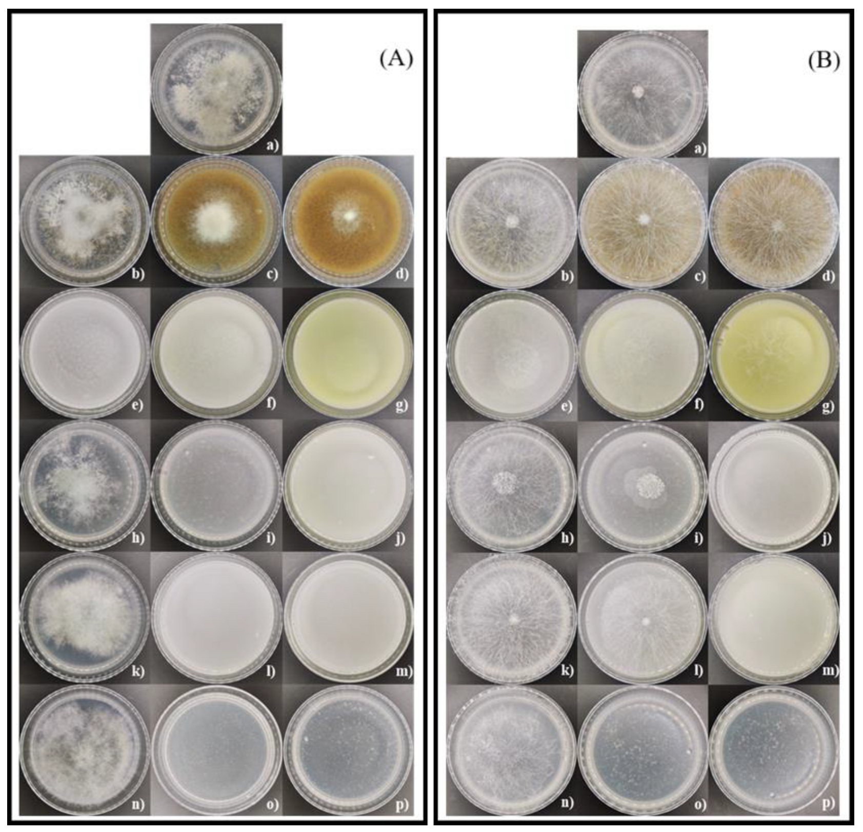 Resources 14 00048 g007