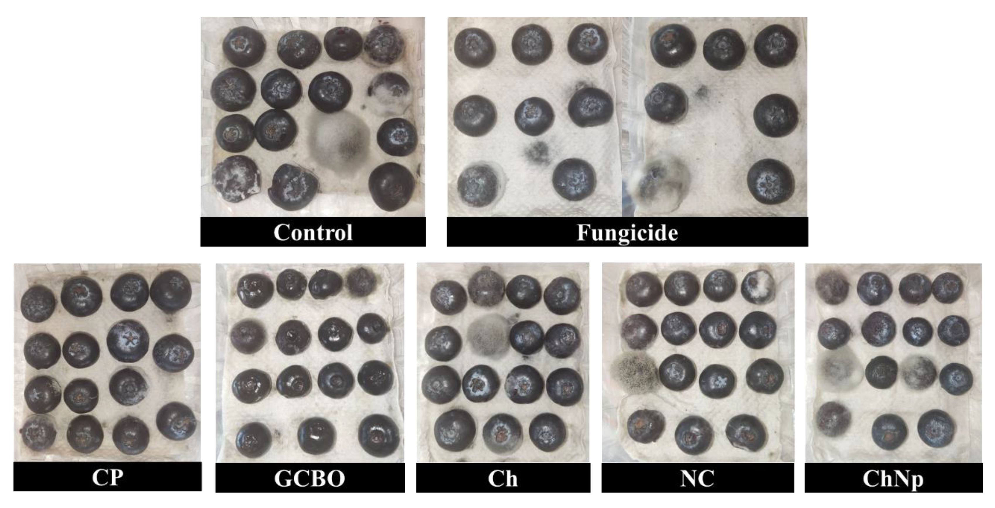 Resources 14 00048 g010