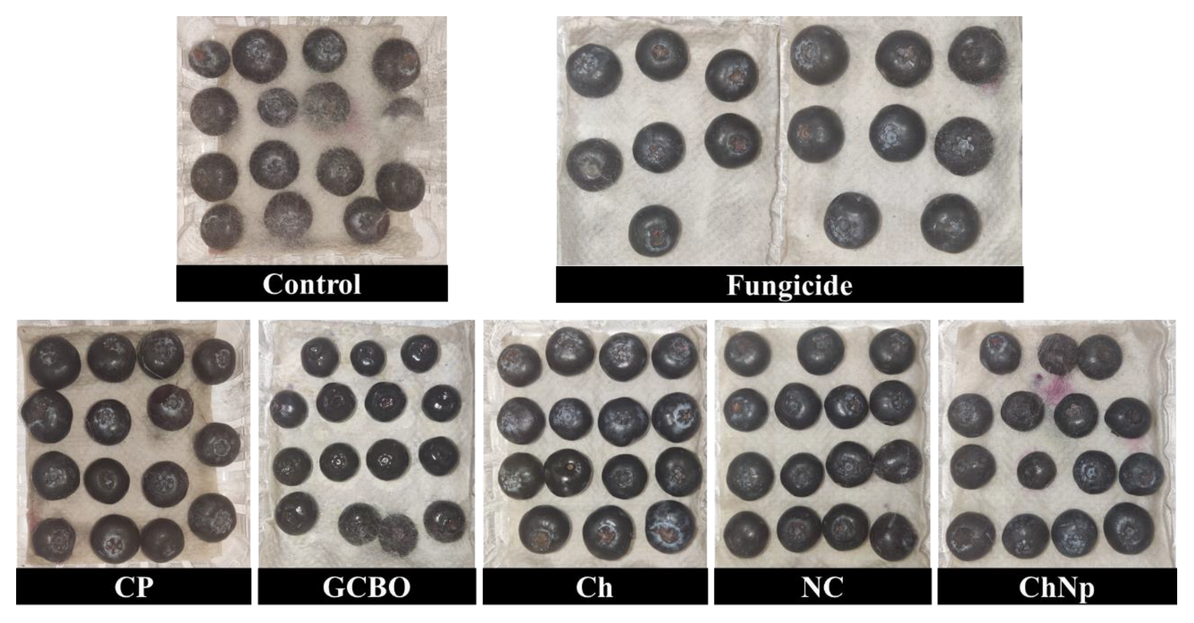 Resources 14 00048 g011