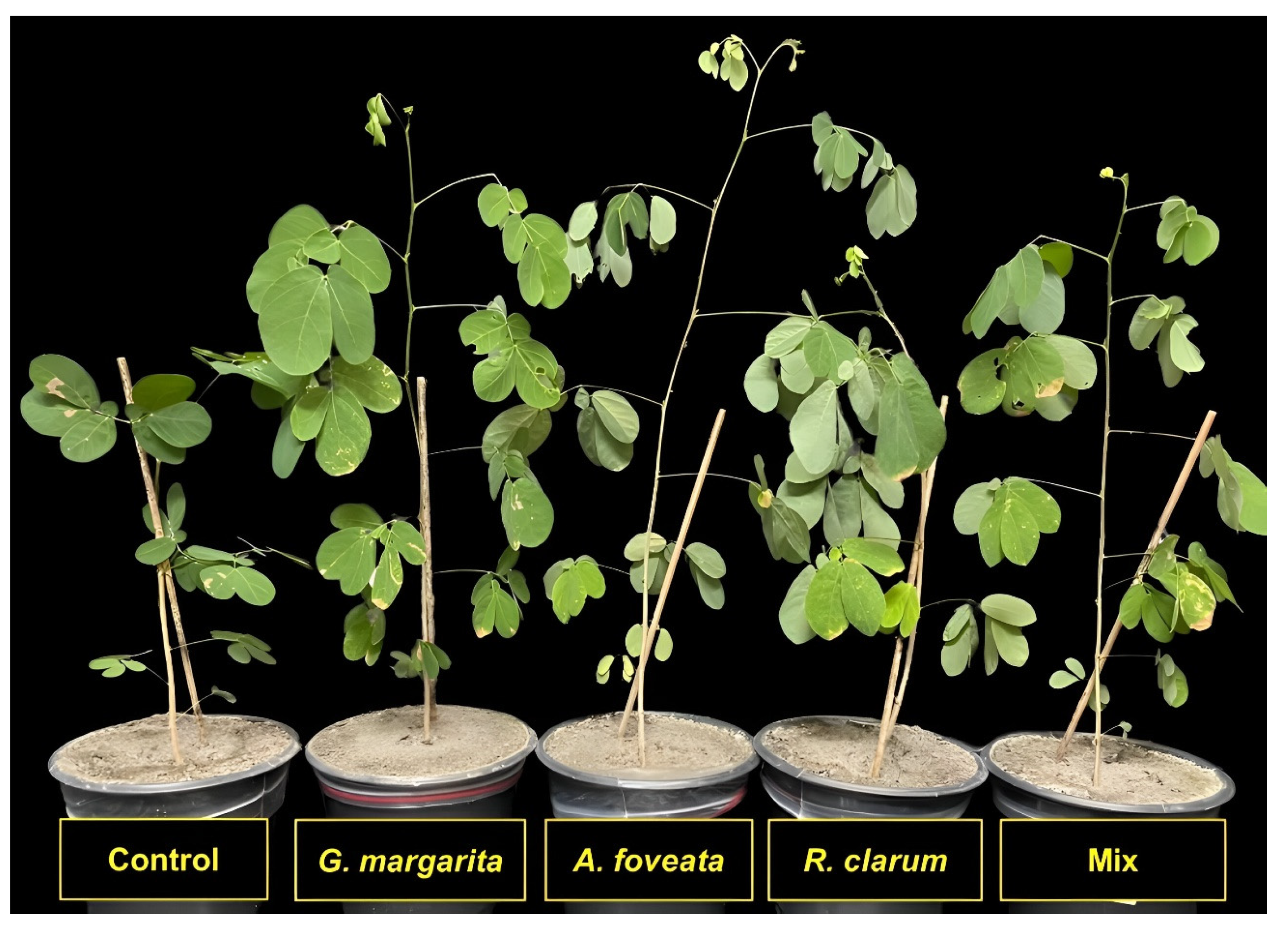 Resources 14 00050 g001