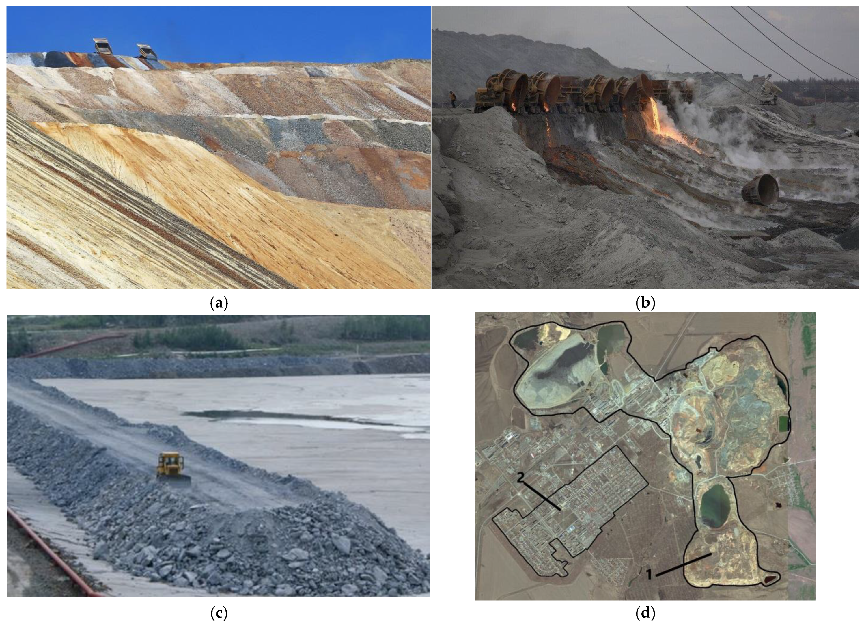 Resources 14 00051 g001