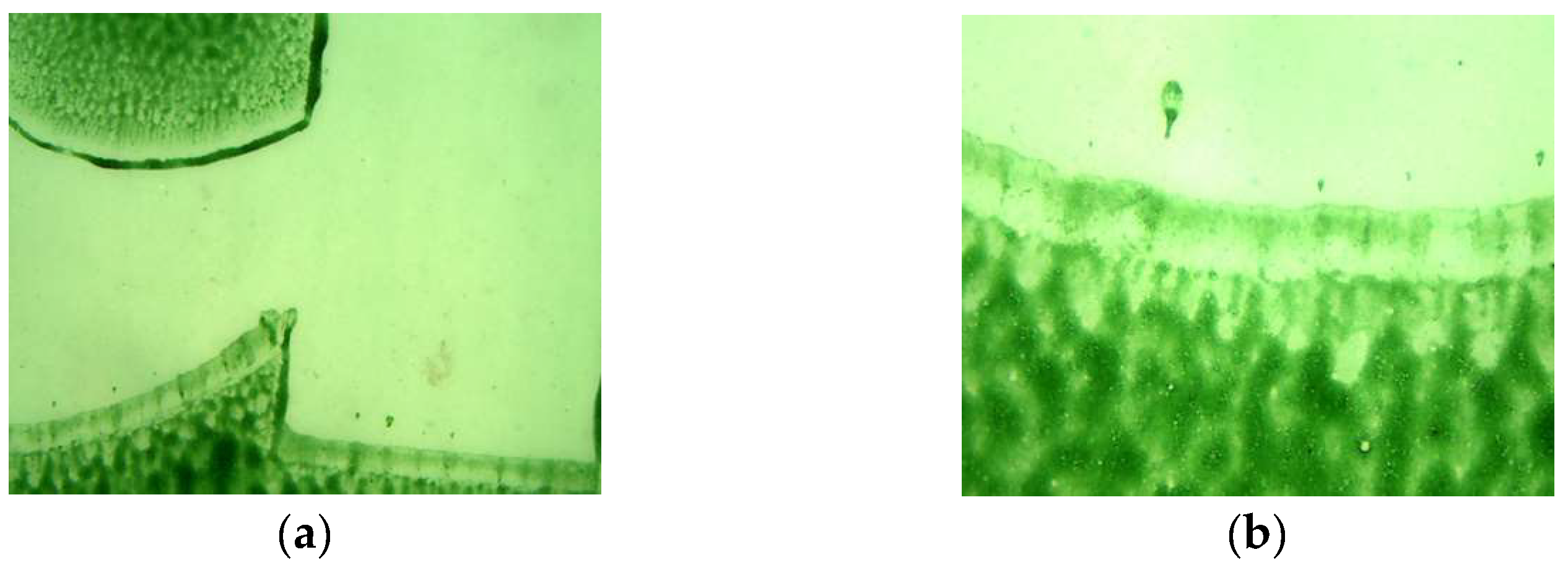 Resources 14 00058 g001a