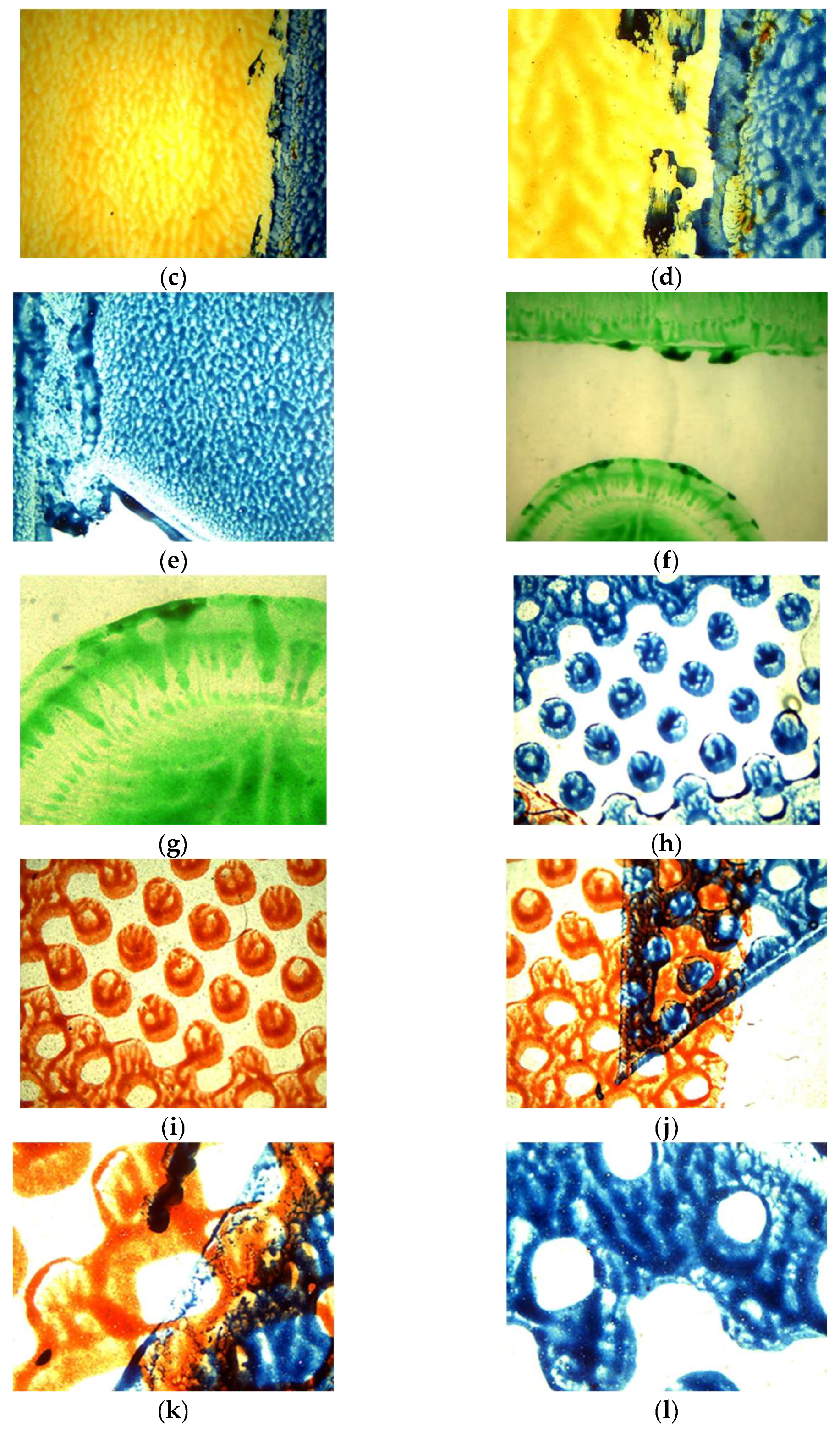 Resources 14 00058 g001b