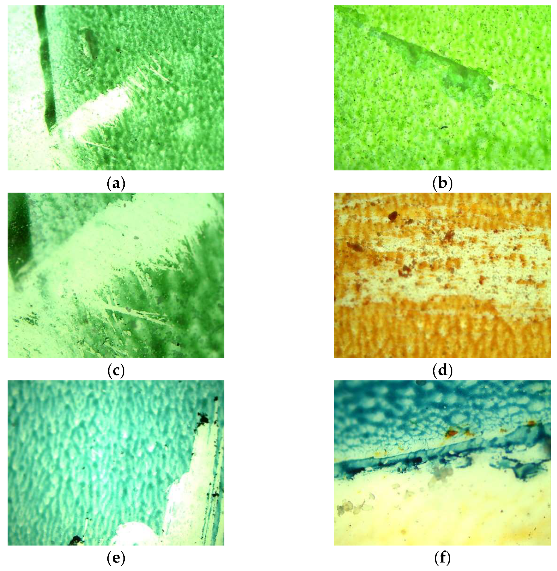 Resources 14 00058 g002a