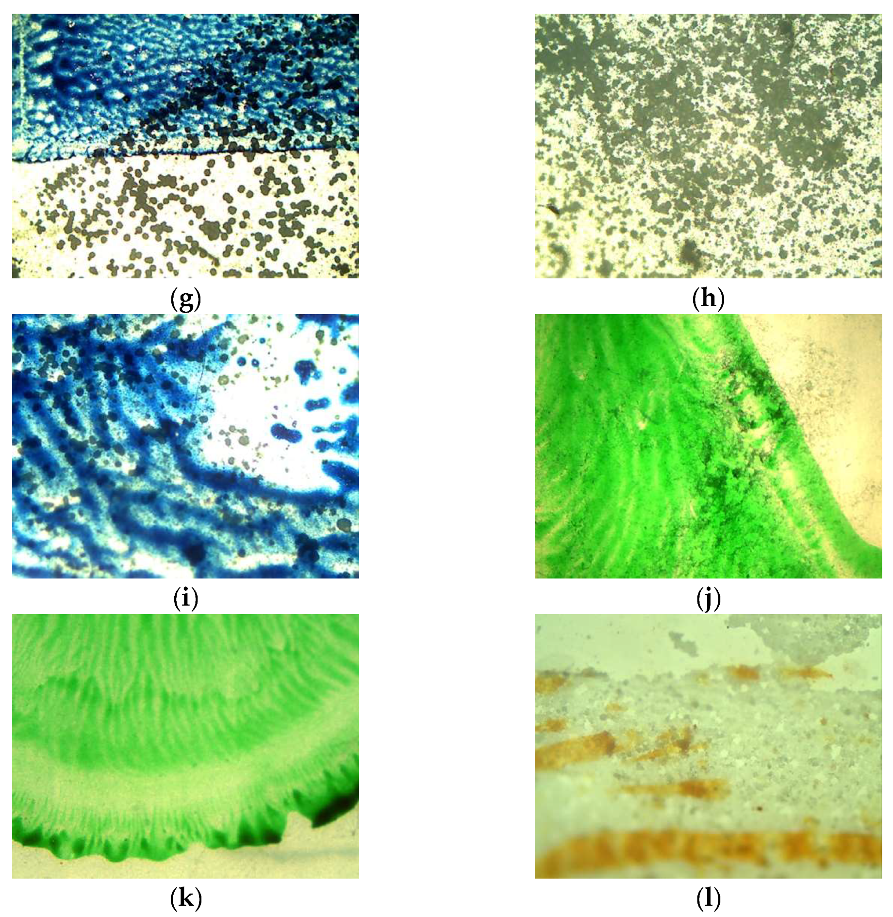 Resources 14 00058 g002b