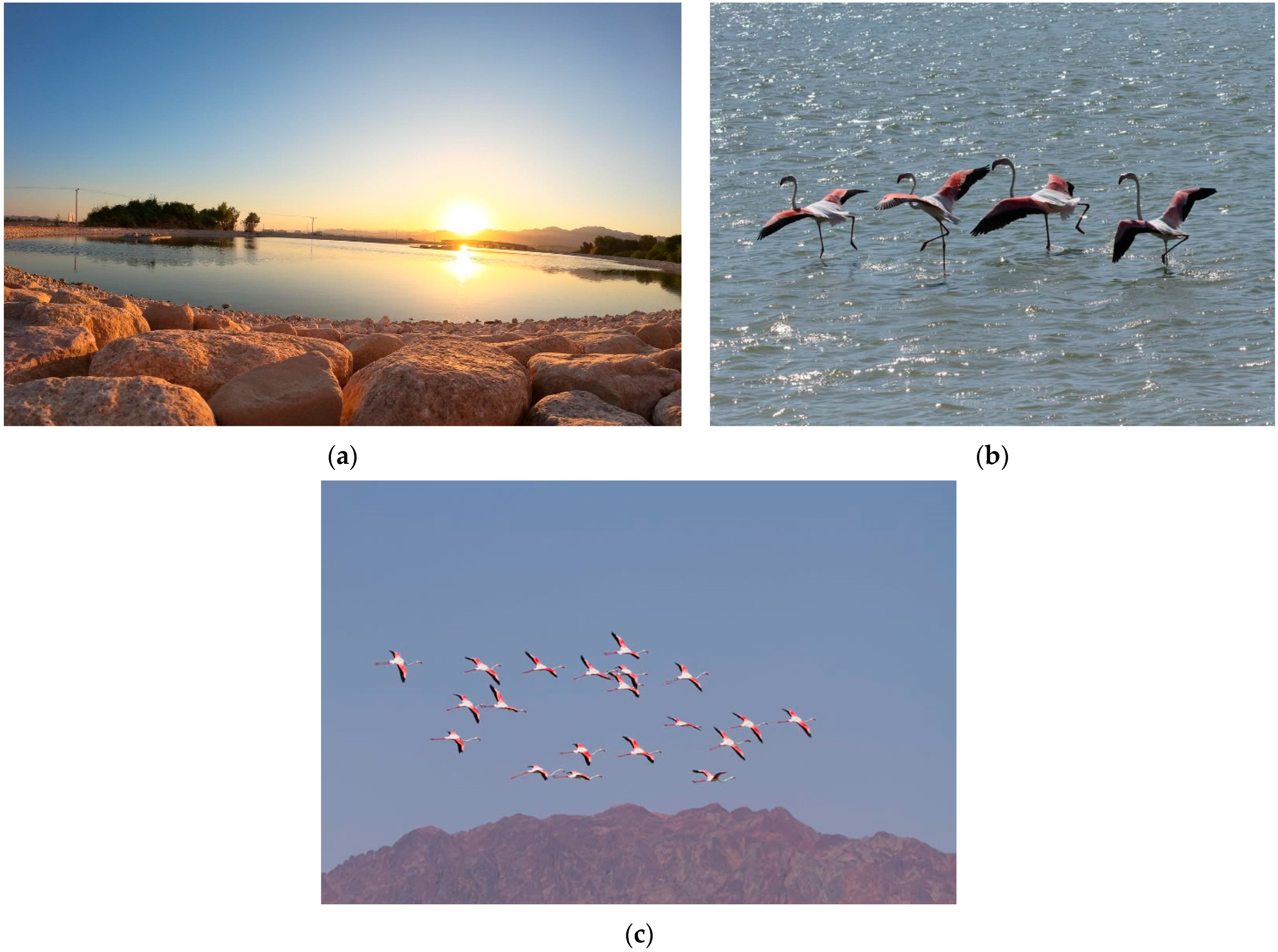 Resources 14 00062 g005