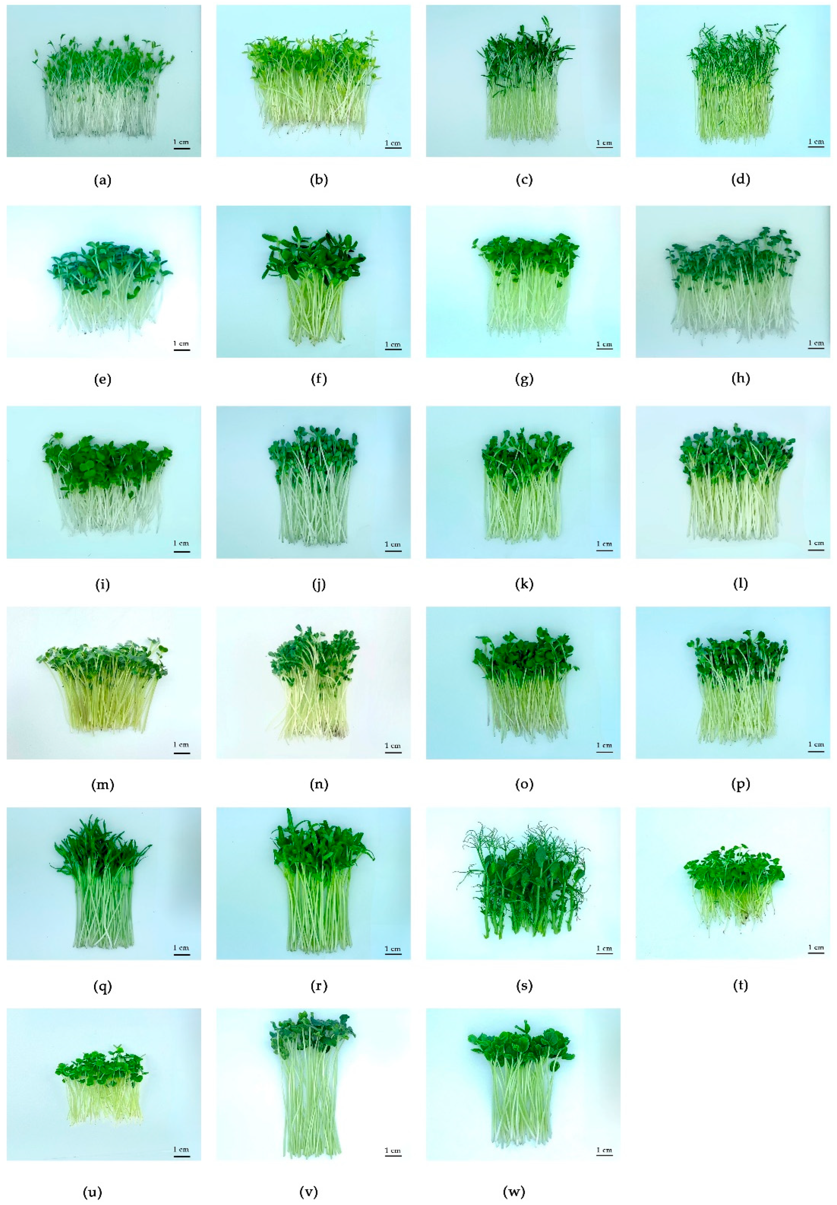 Resources 14 00071 g001