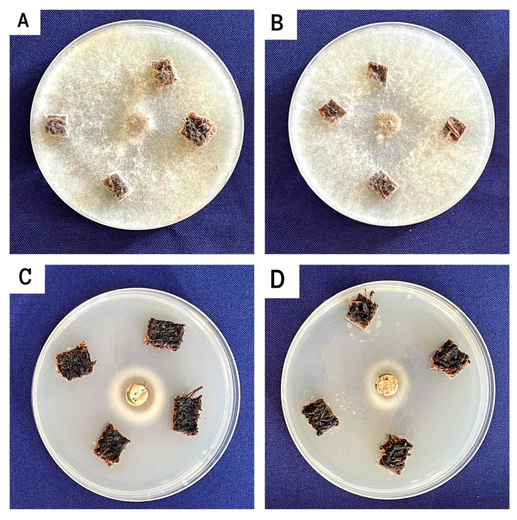 Resources 14 00076 g004