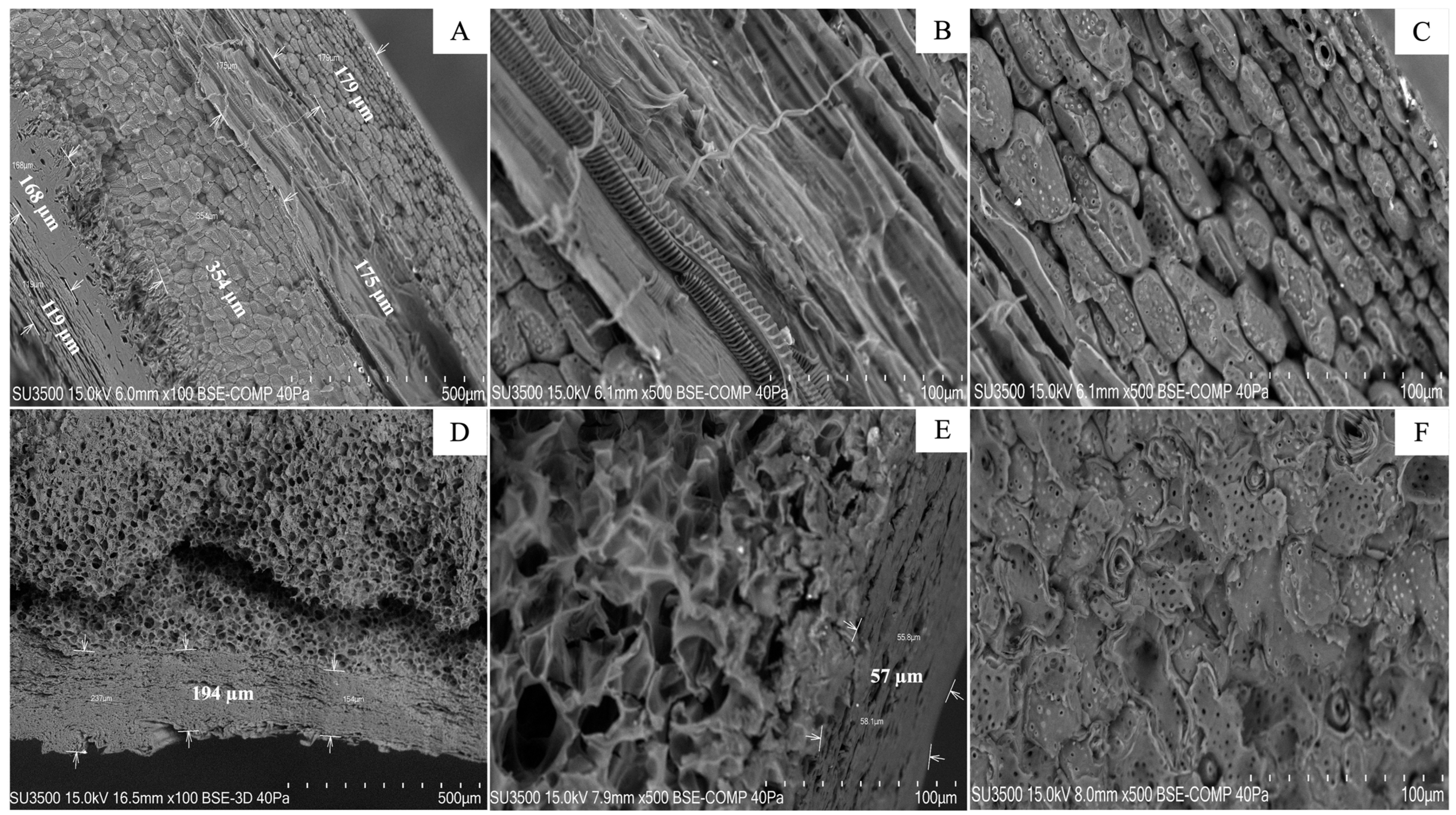 Resources 14 00082 g005