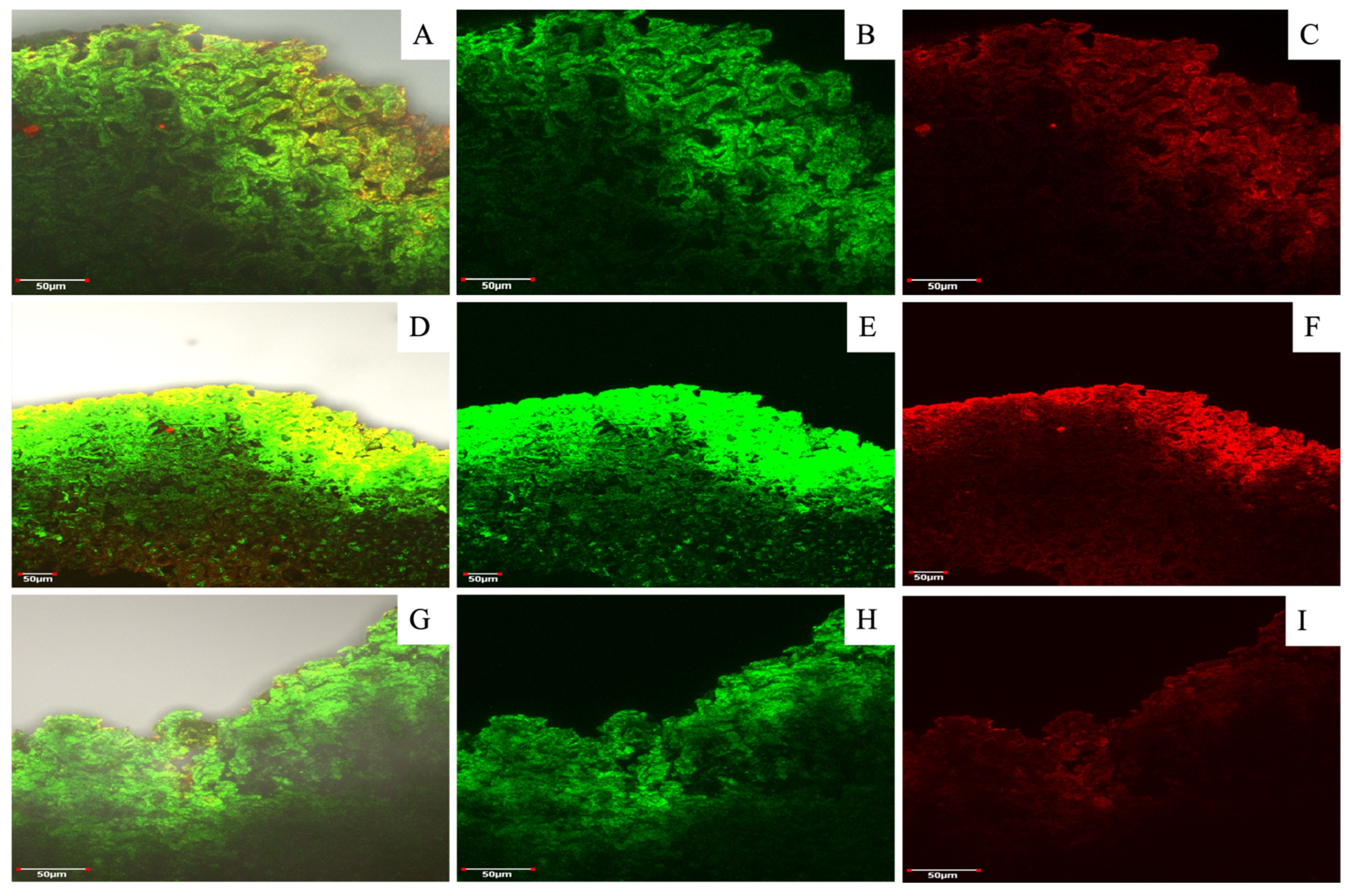 Resources 14 00082 g007