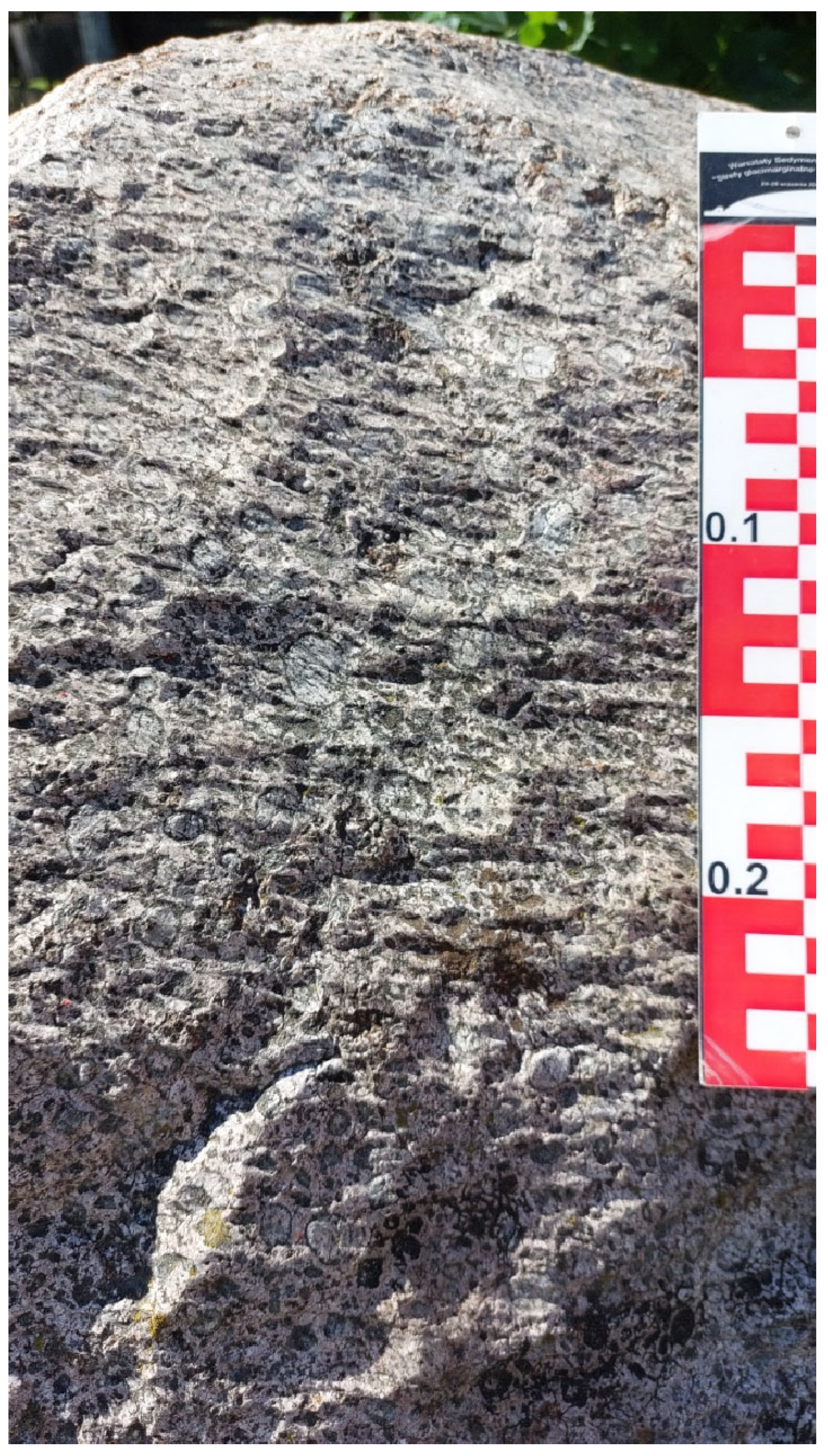 Resources 14 00099 g009