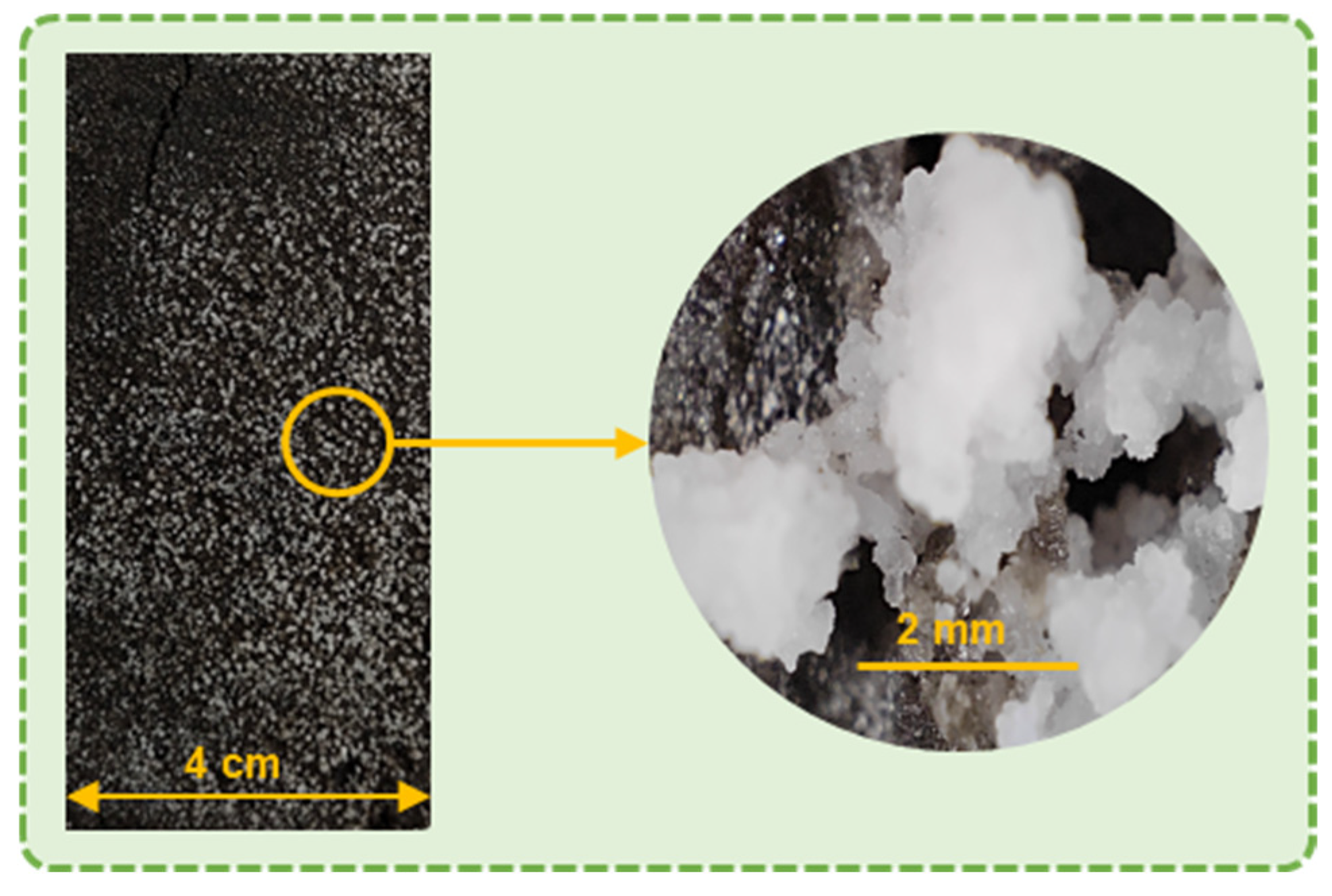 Resources 14 00107 g004