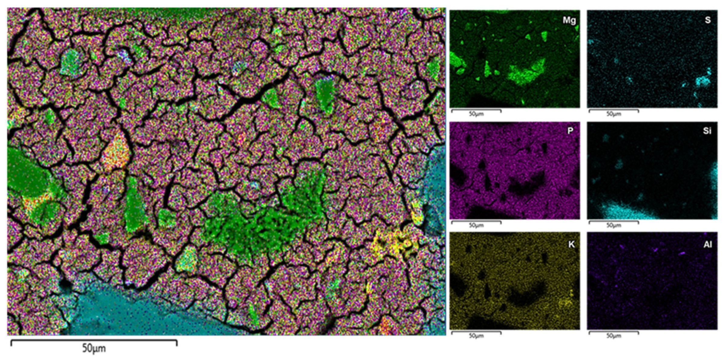 Resources 14 00107 g013