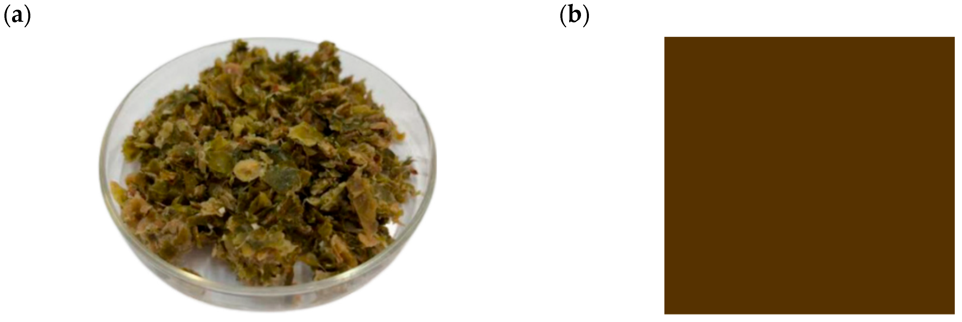 Resources 14 00109 g001