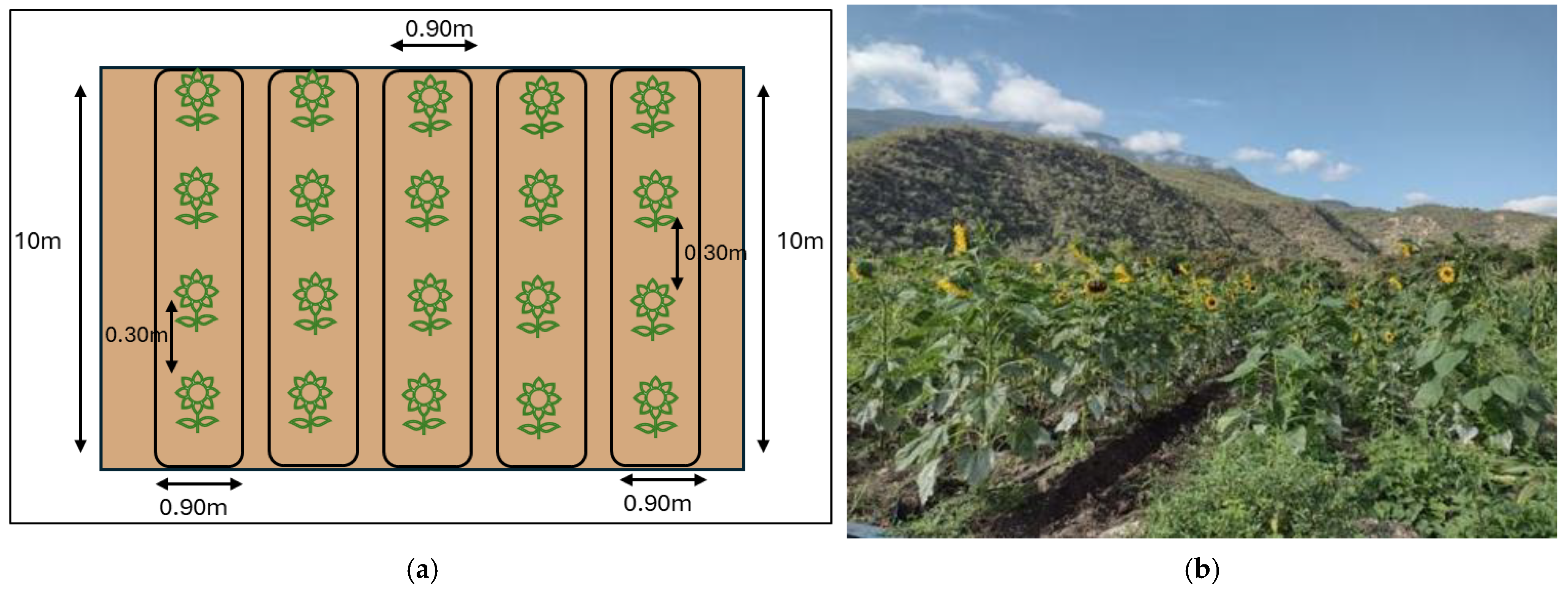 Resources 14 00121 g001