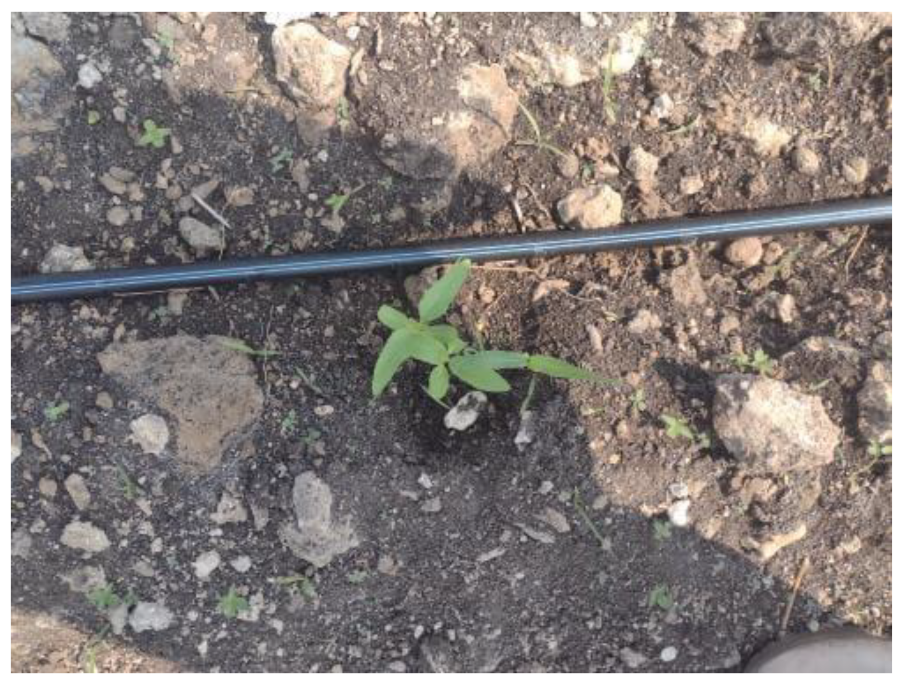 Resources 14 00121 g002