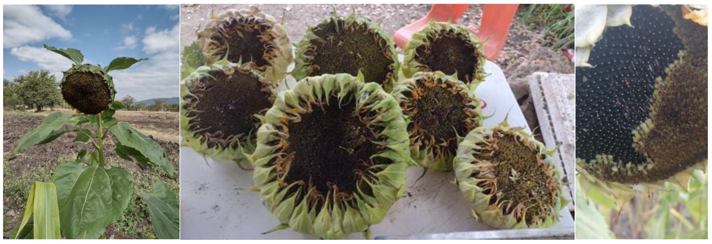 Resources 14 00121 g003