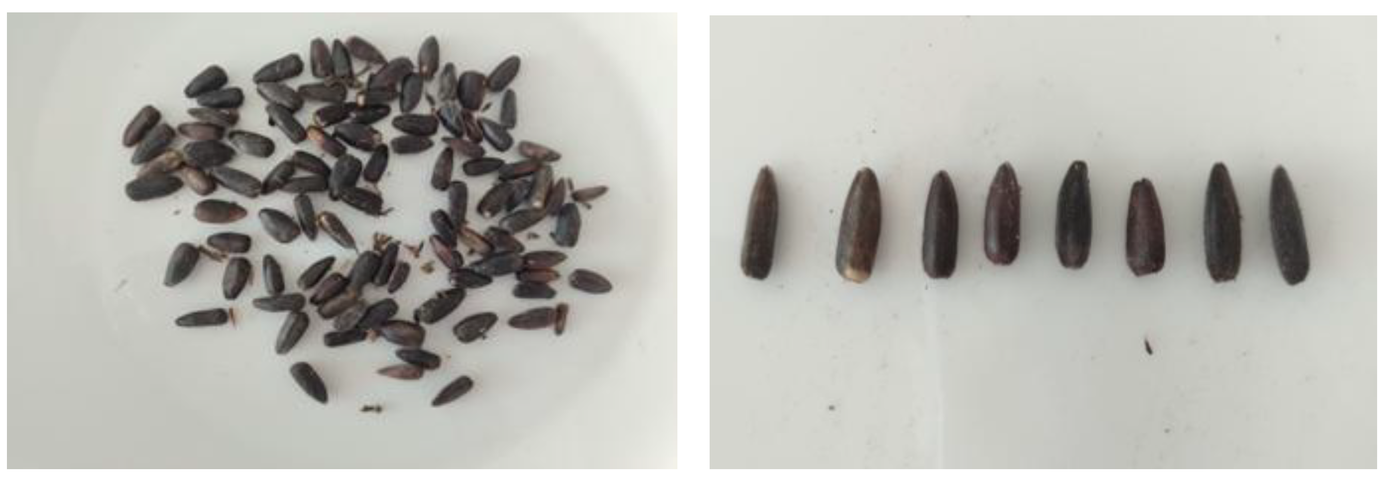 Resources 14 00121 g004