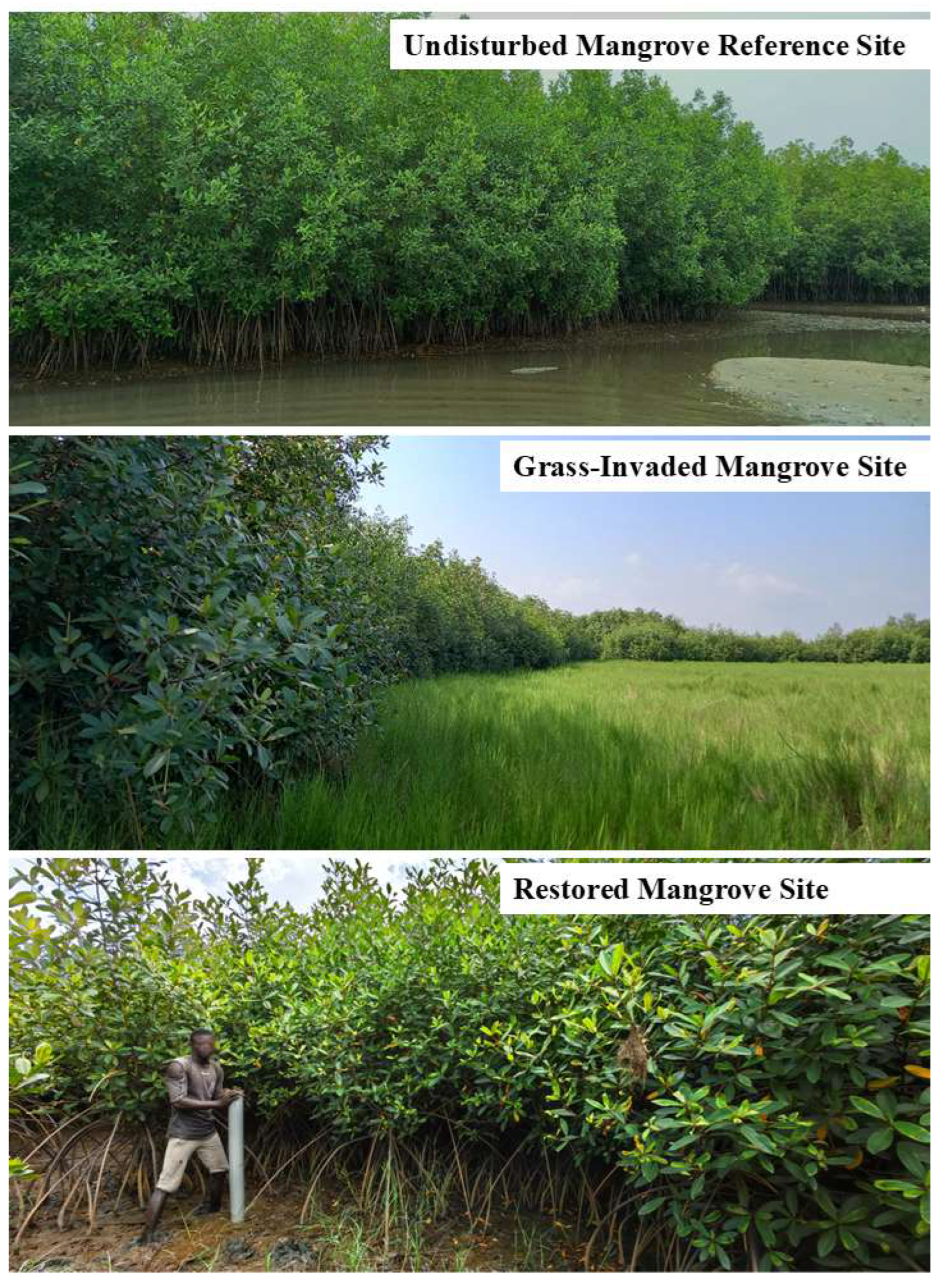 Resources 14 00122 g0a1