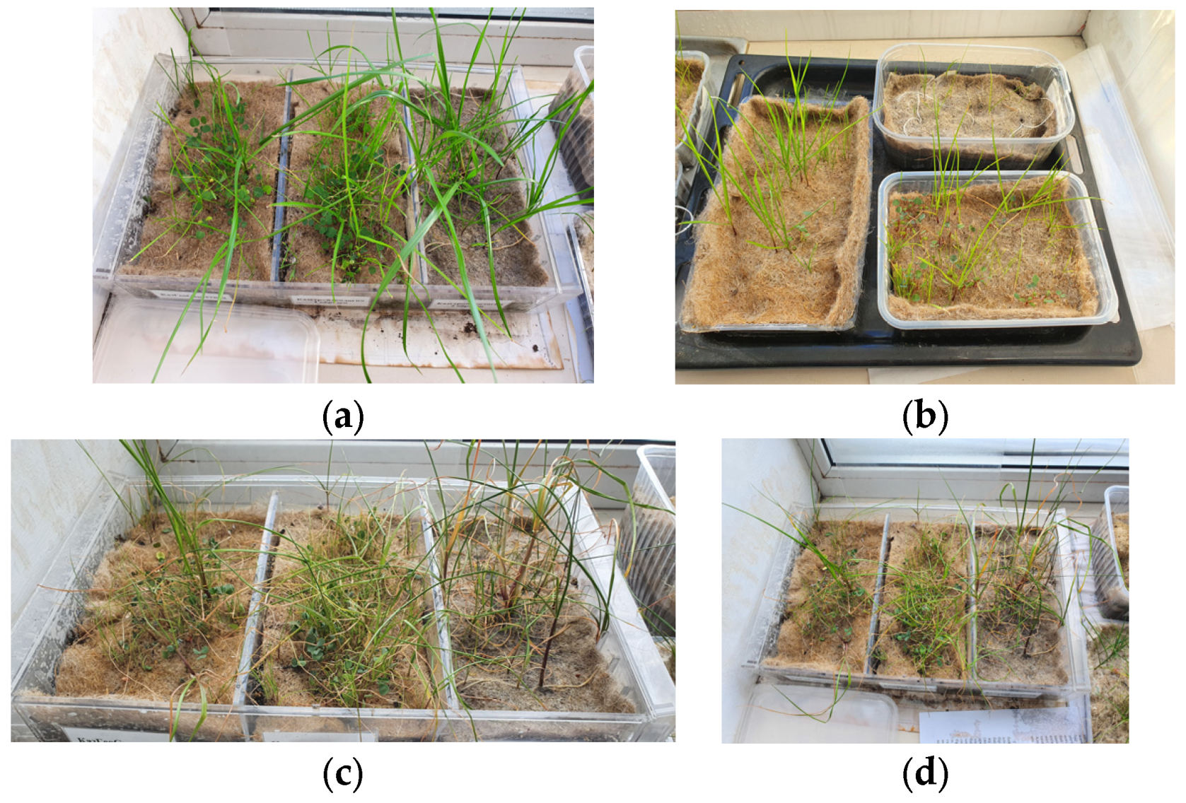 Resources 14 00144 g004 Resources 14 00144 g004