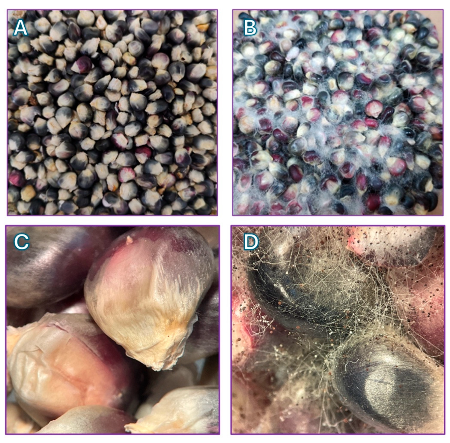 Resources 14 00158 g002 Resources 14 00158 g002