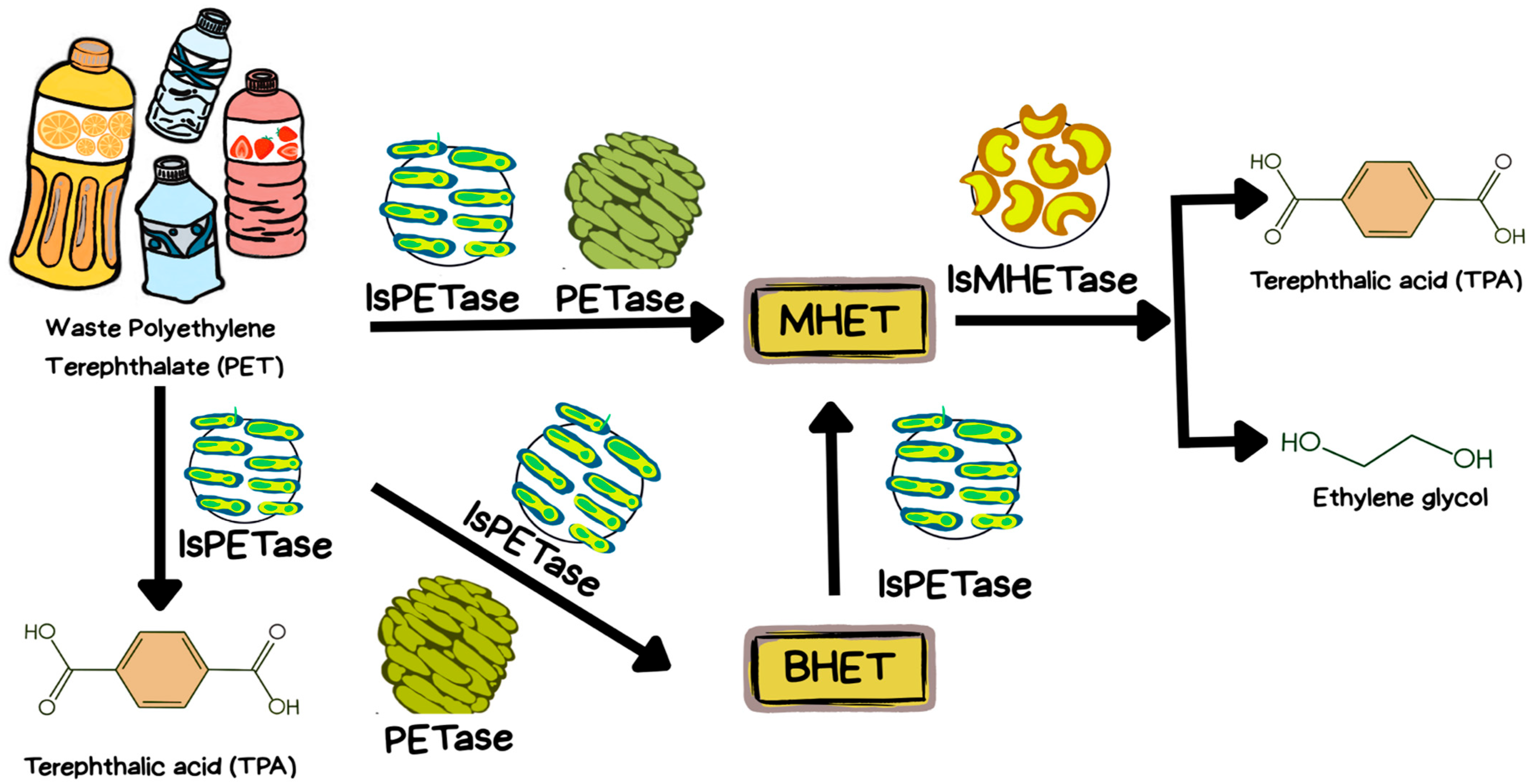 Resources 14 00176 g003