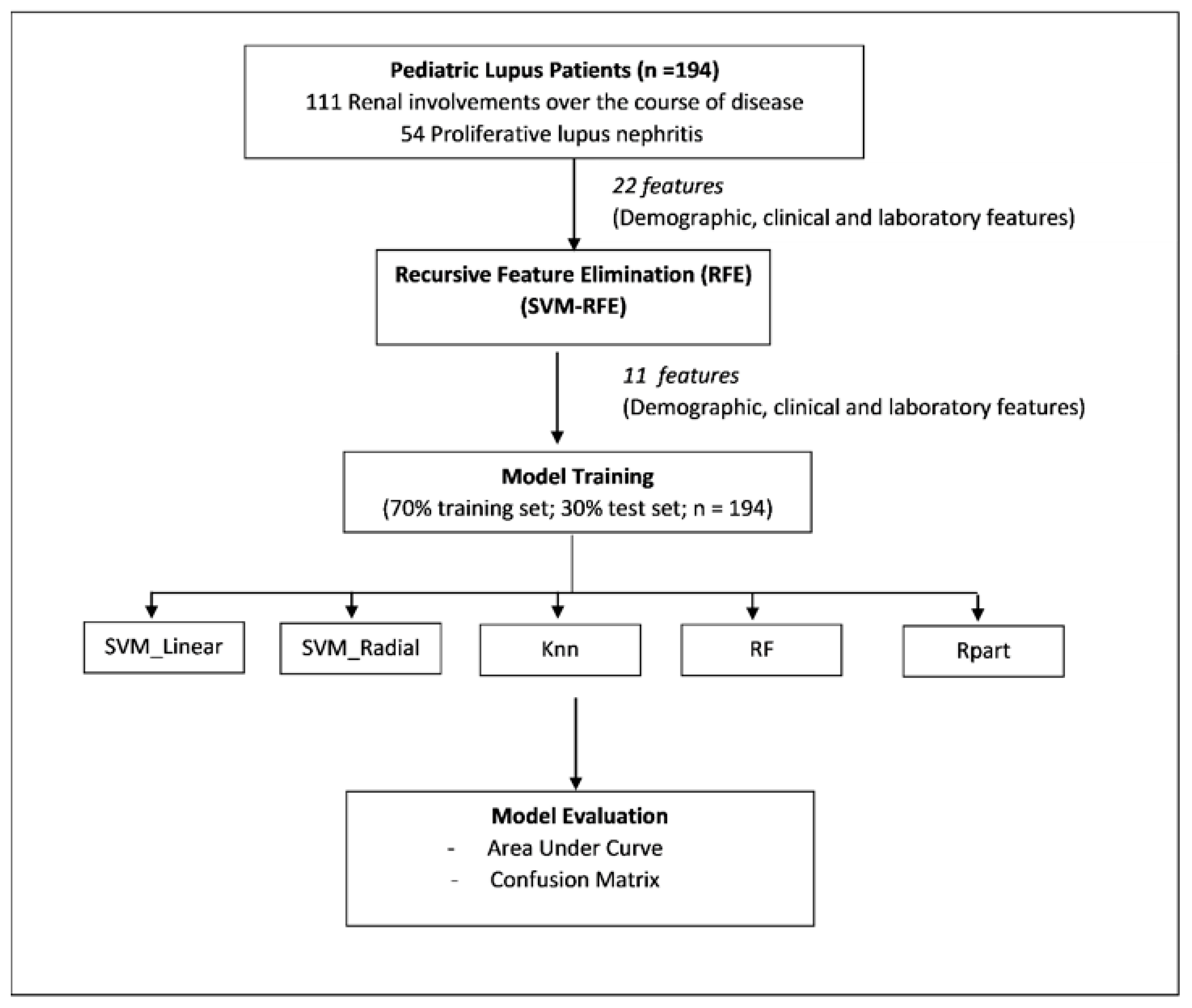 Rheumato 03 00007 g001 Rheumato 03 00007 g001