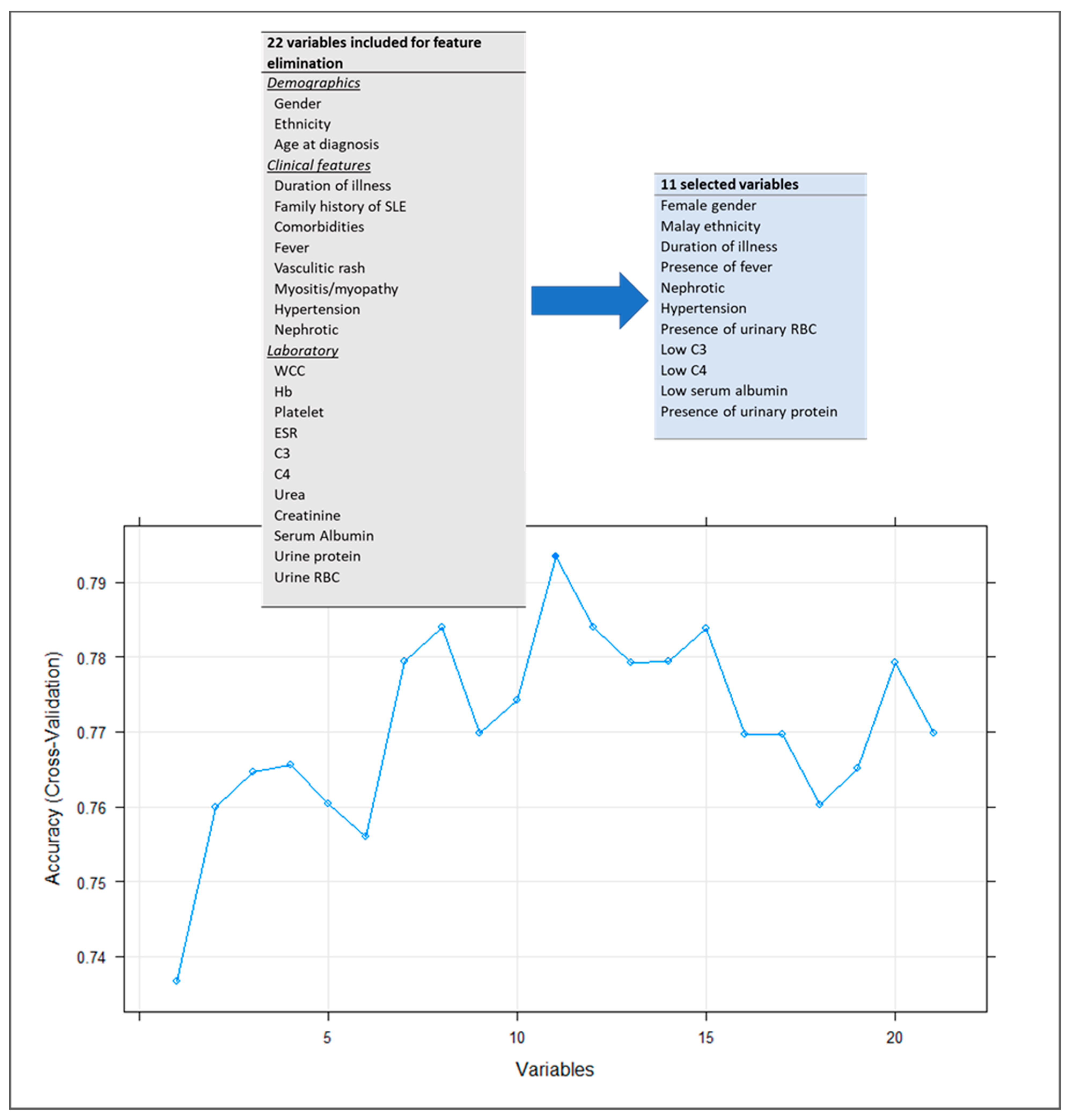 Rheumato 03 00007 g002 Rheumato 03 00007 g002