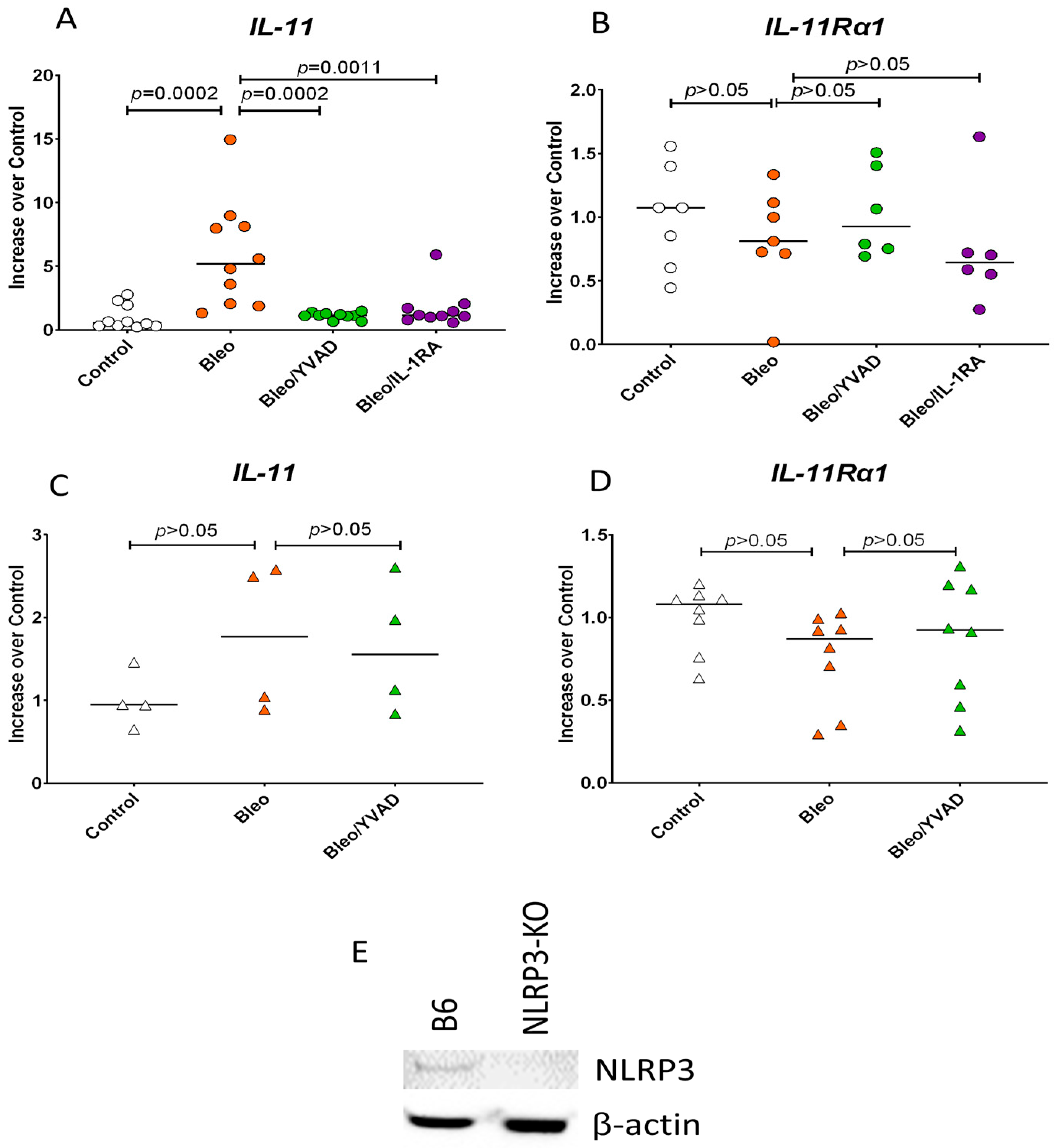 Rheumato 04 00013 g003
