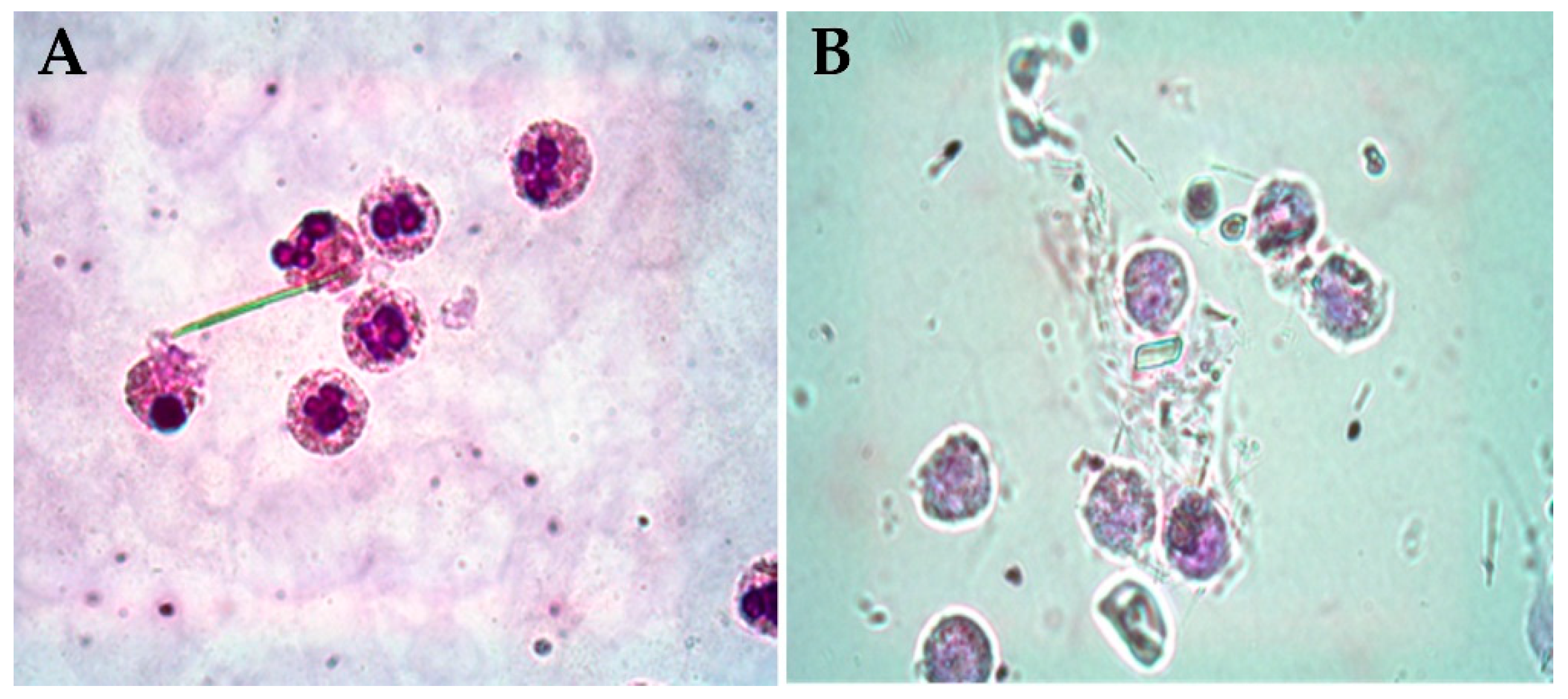 Rheumato 04 00015 g003