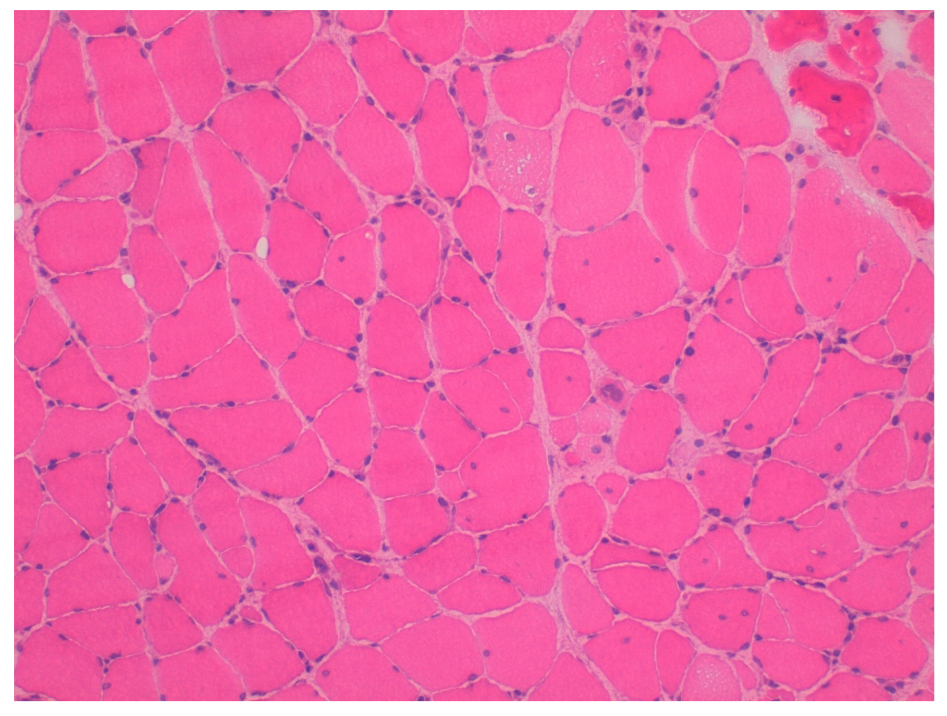 Rheumato 05 00007 g002