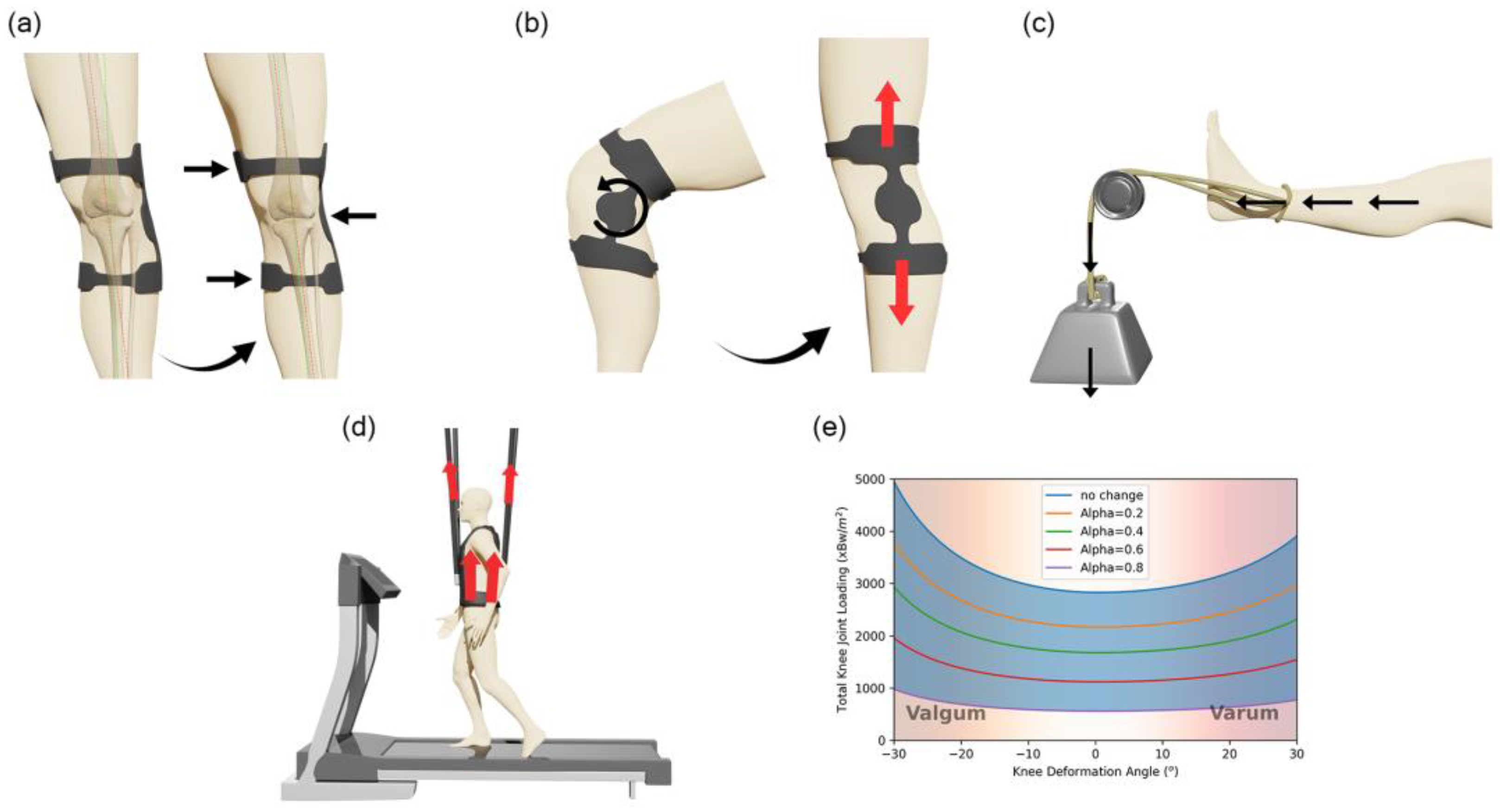 Rheumato 05 00008 g004 Rheumato 05 00008 g004