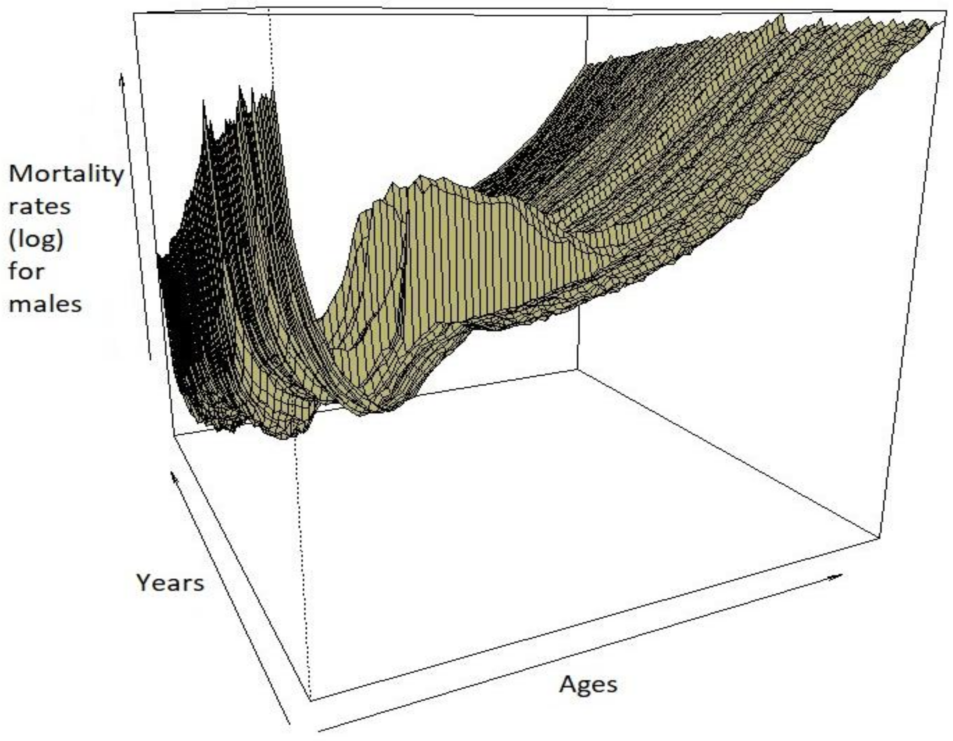 Risks 06 00123 g001 Risks 06 00123 g001