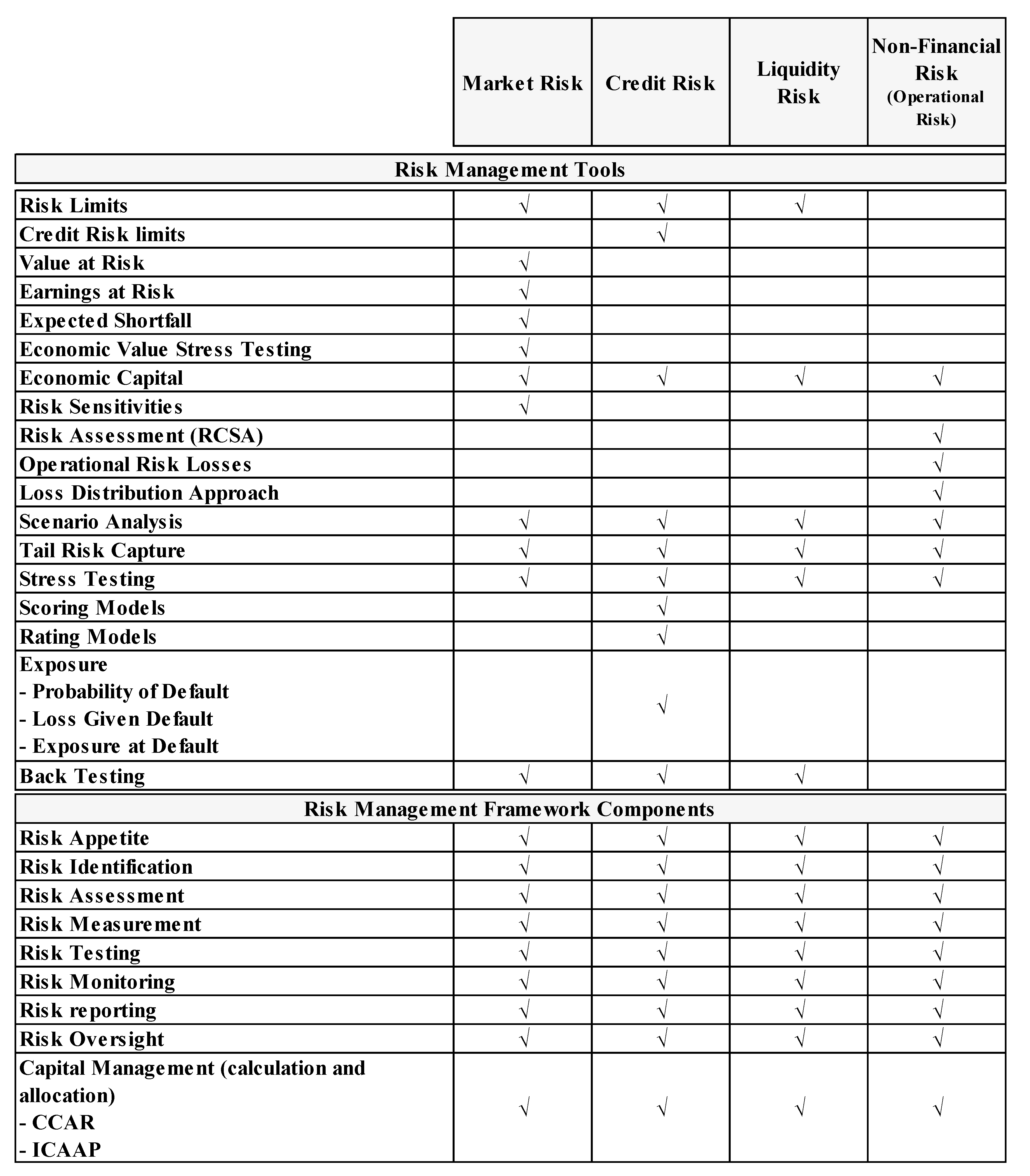 risk management paper