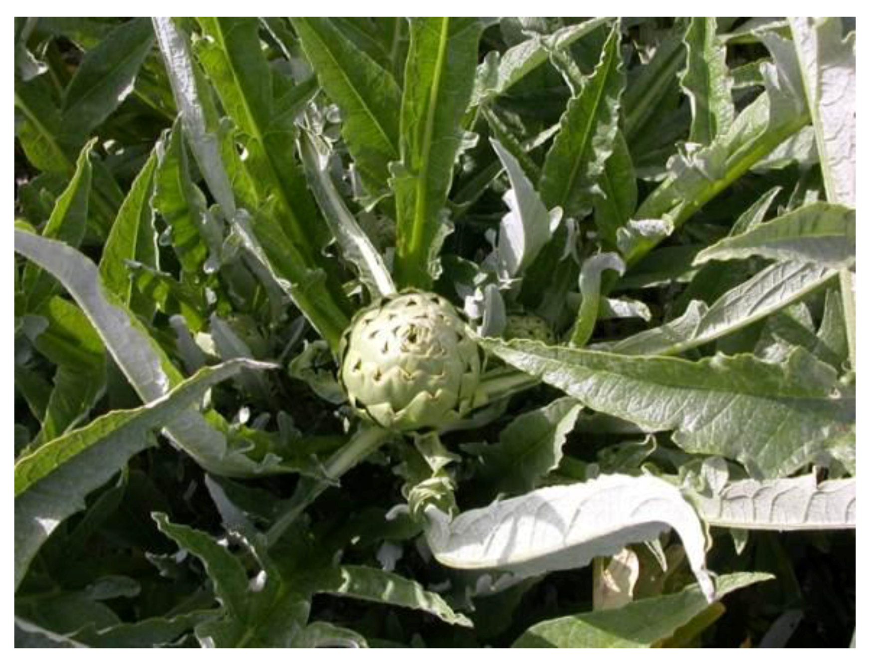 Robotics 02 00217 g007