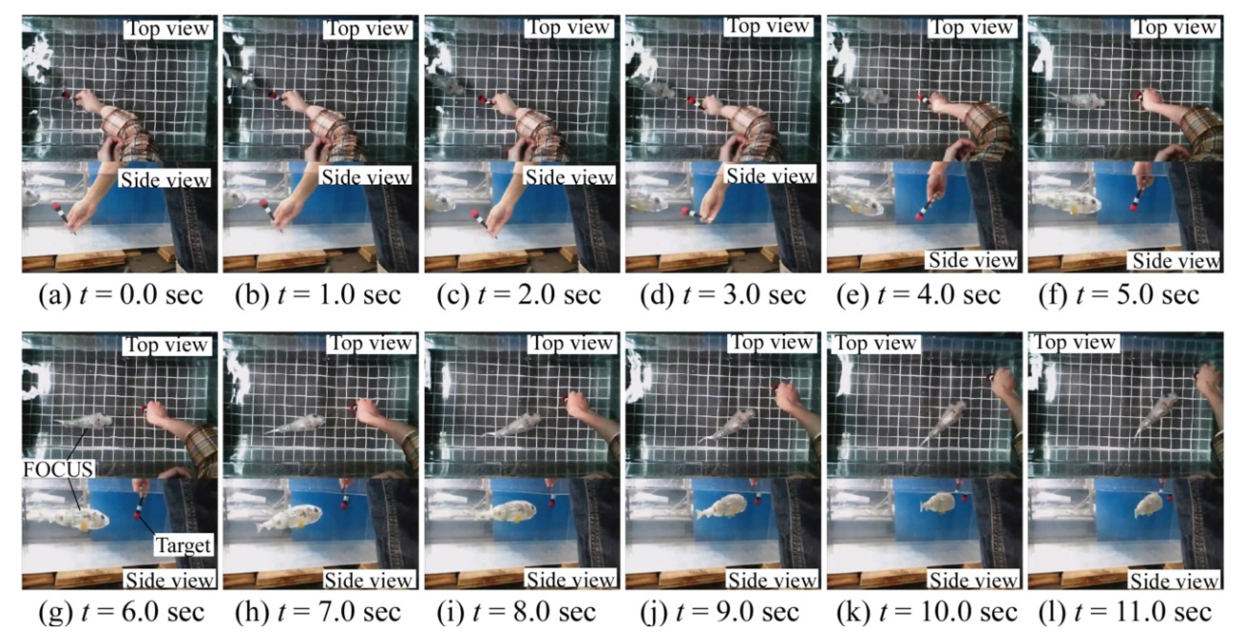 Robotics 03 00149 g006