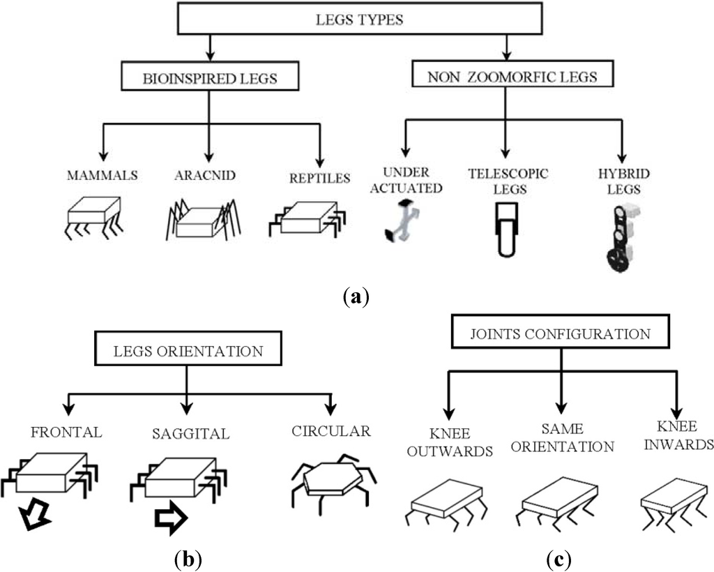 hexapod robot design