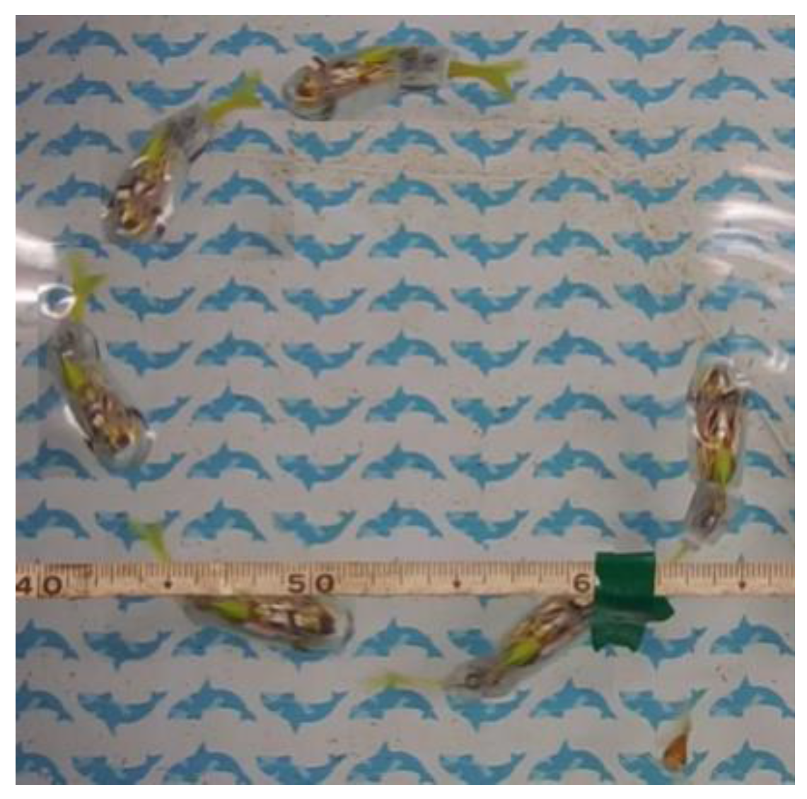 Robotics 04 00421 g009 1024