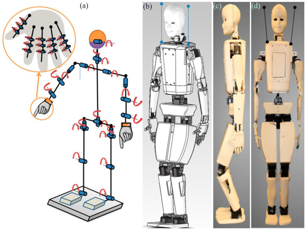 HBS-1: A Modular Child-Size 3D Printed Humanoid