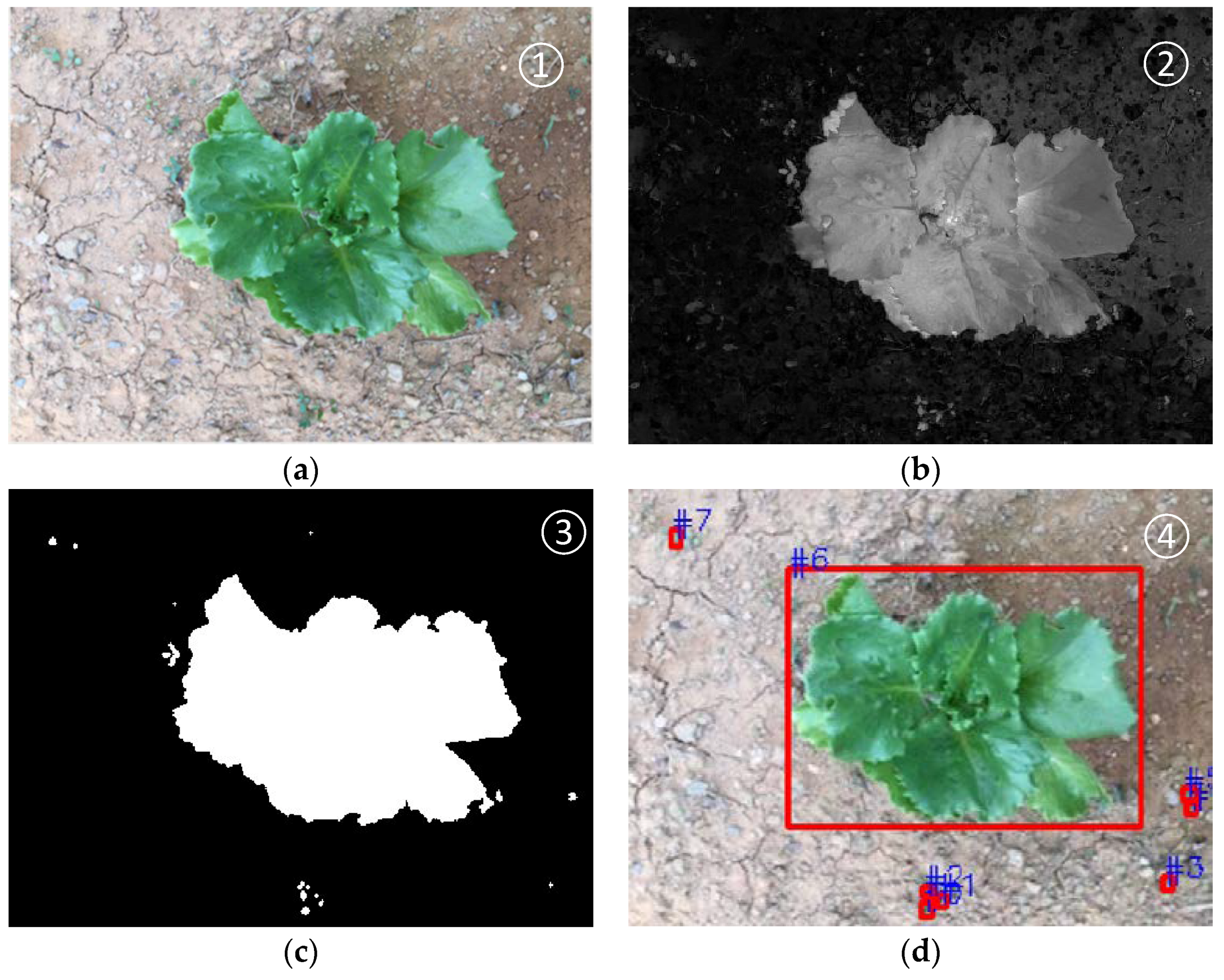 Robotics 07 00038 g002 Robotics 07 00038 g002