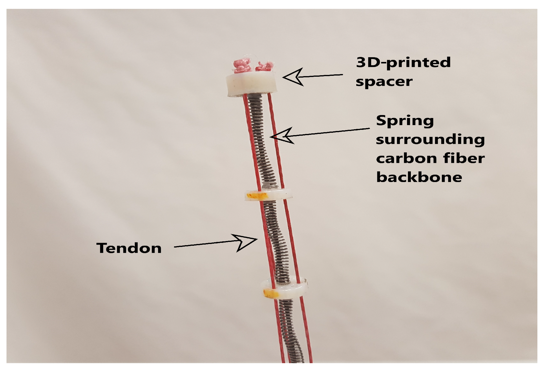 stanford vine robot