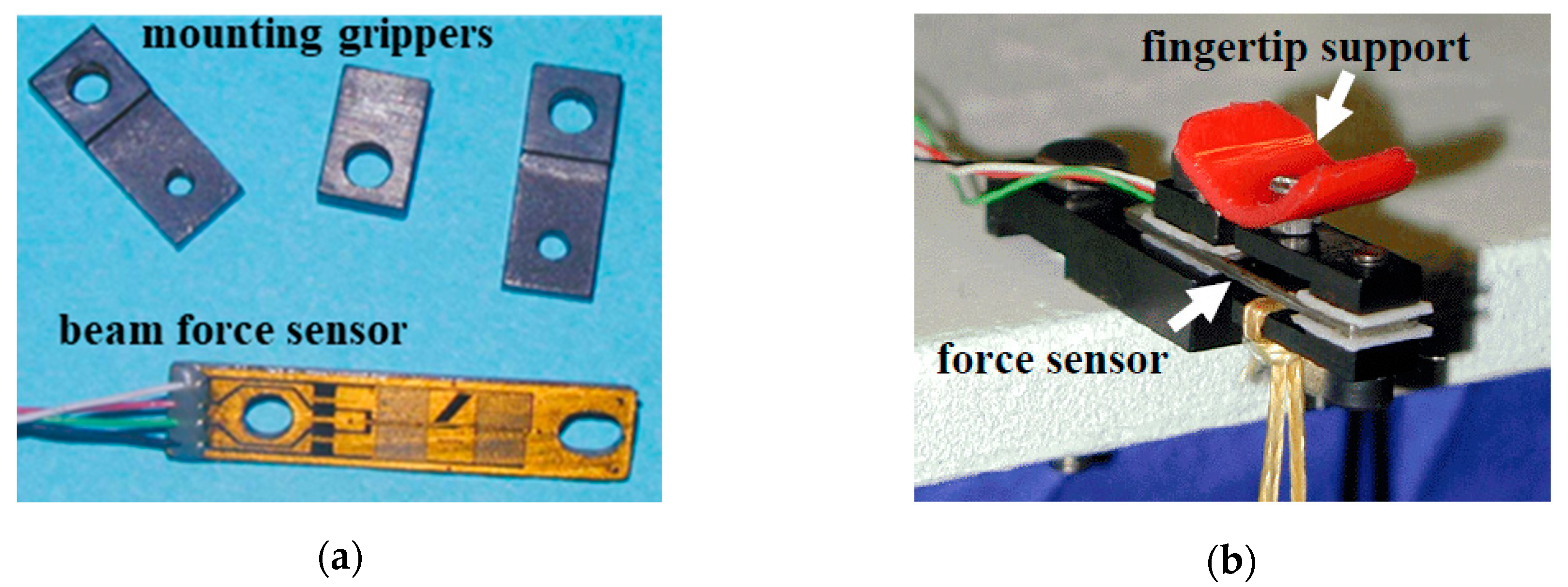 Robotics 08 00013 g007