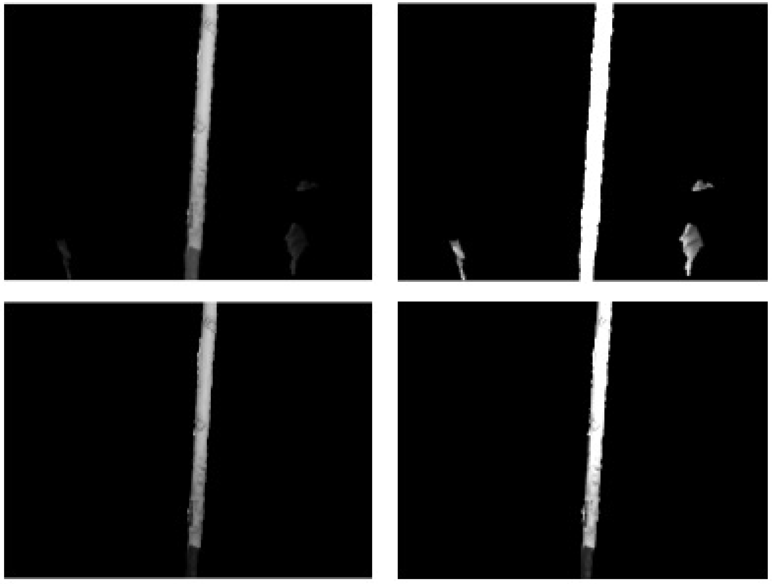 Robotics 08 00042 g008