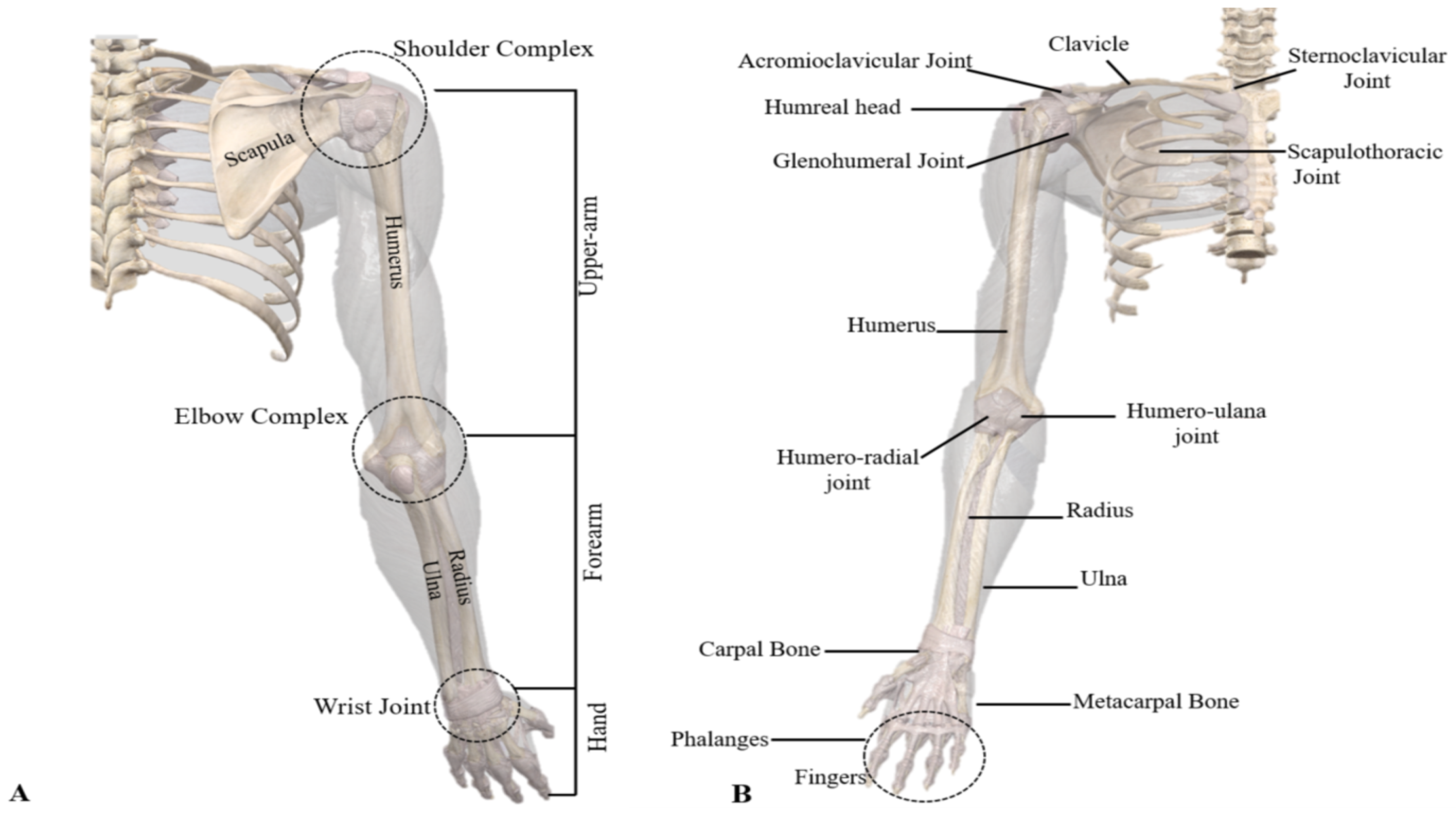 Robotics, Free Full-Text