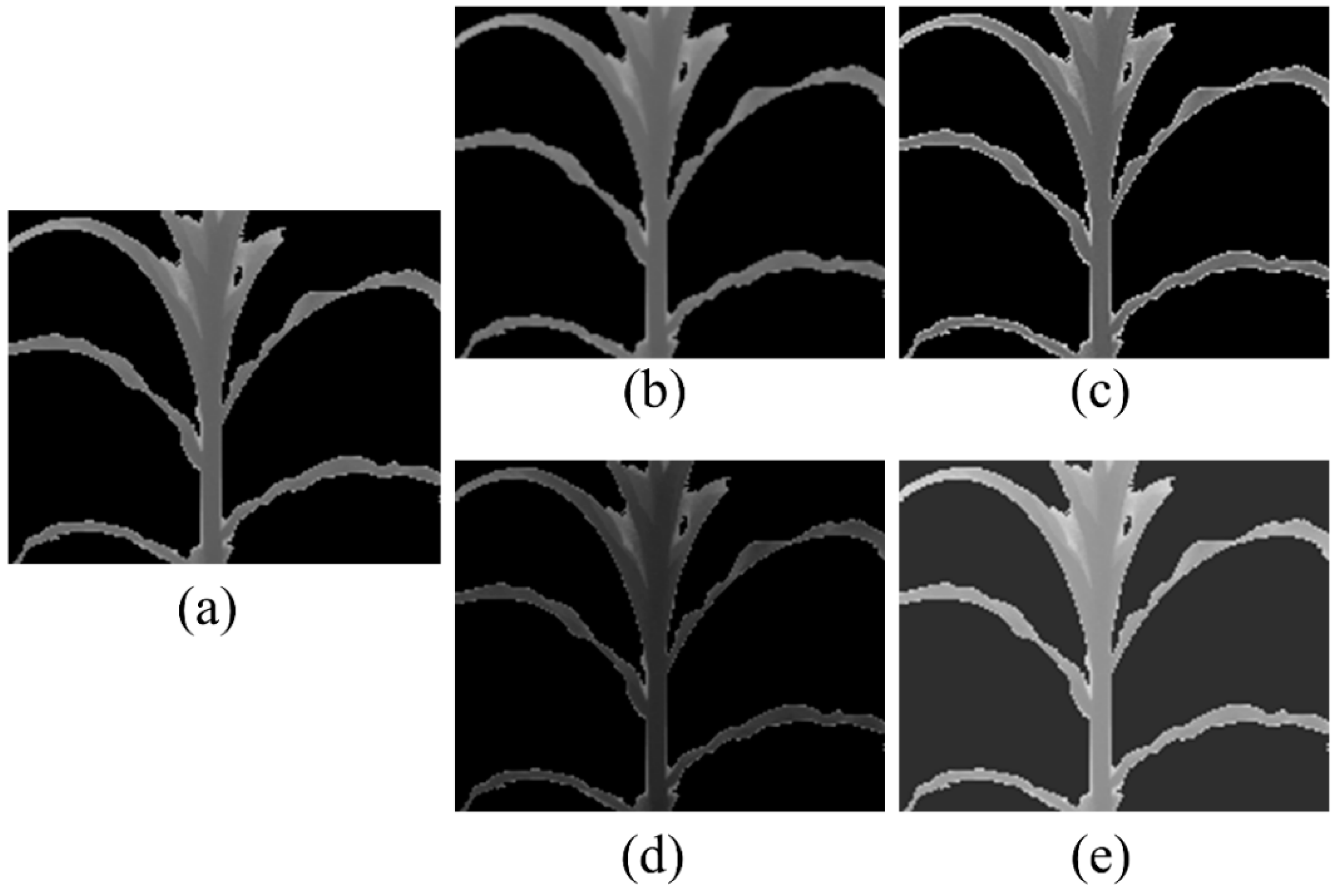 Robotics 09 00058 g003