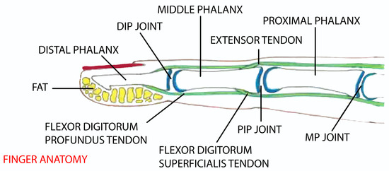 Notfall Set, Joint