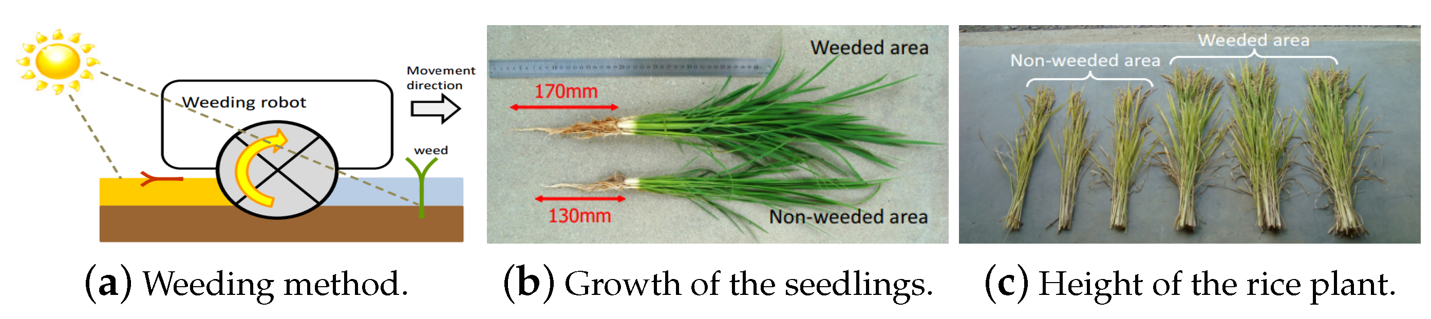 Robotics | Free Full-Text | Advances in Agriculture Robotics: A State ...